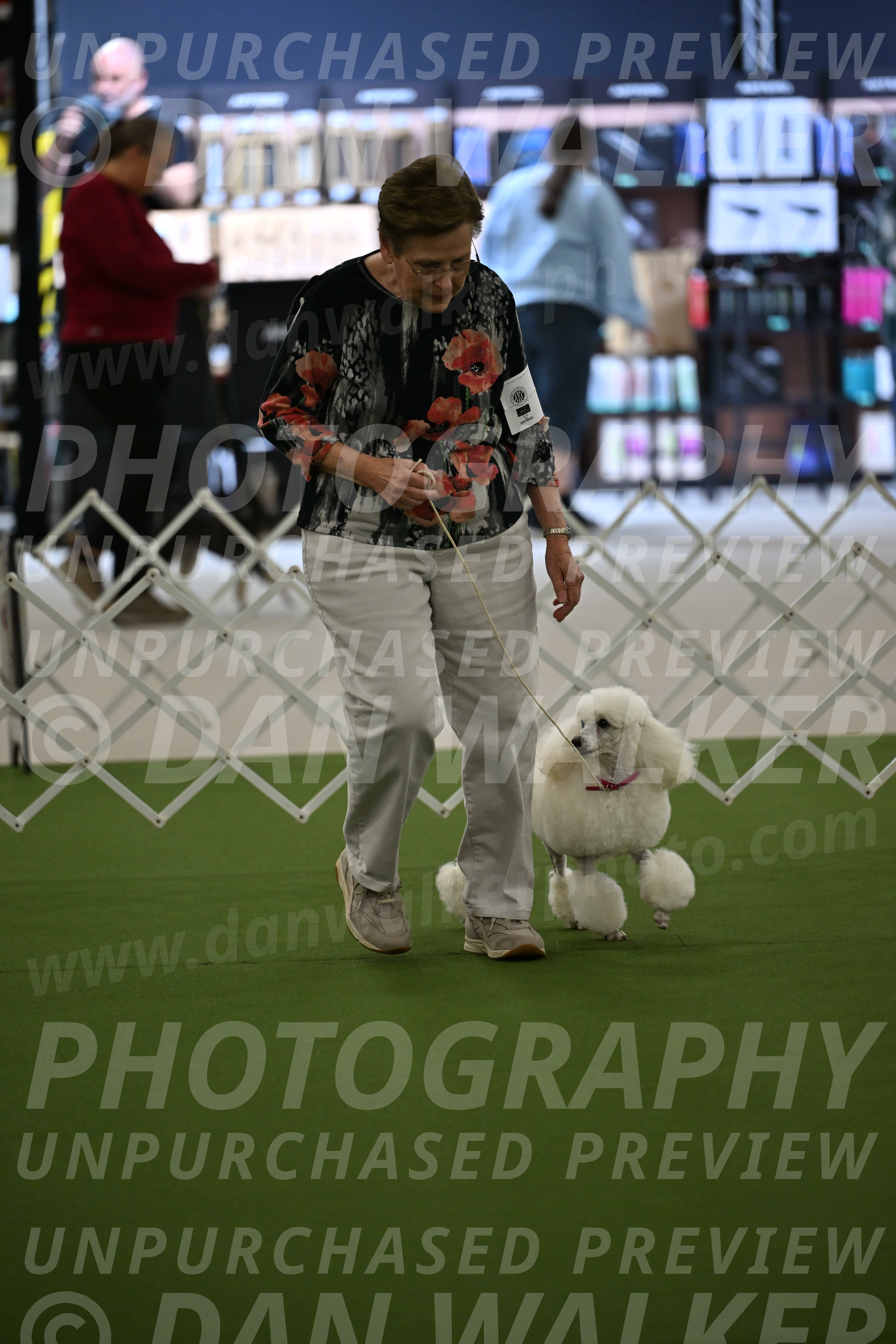 Ring-3-Morning-Obedience_0084