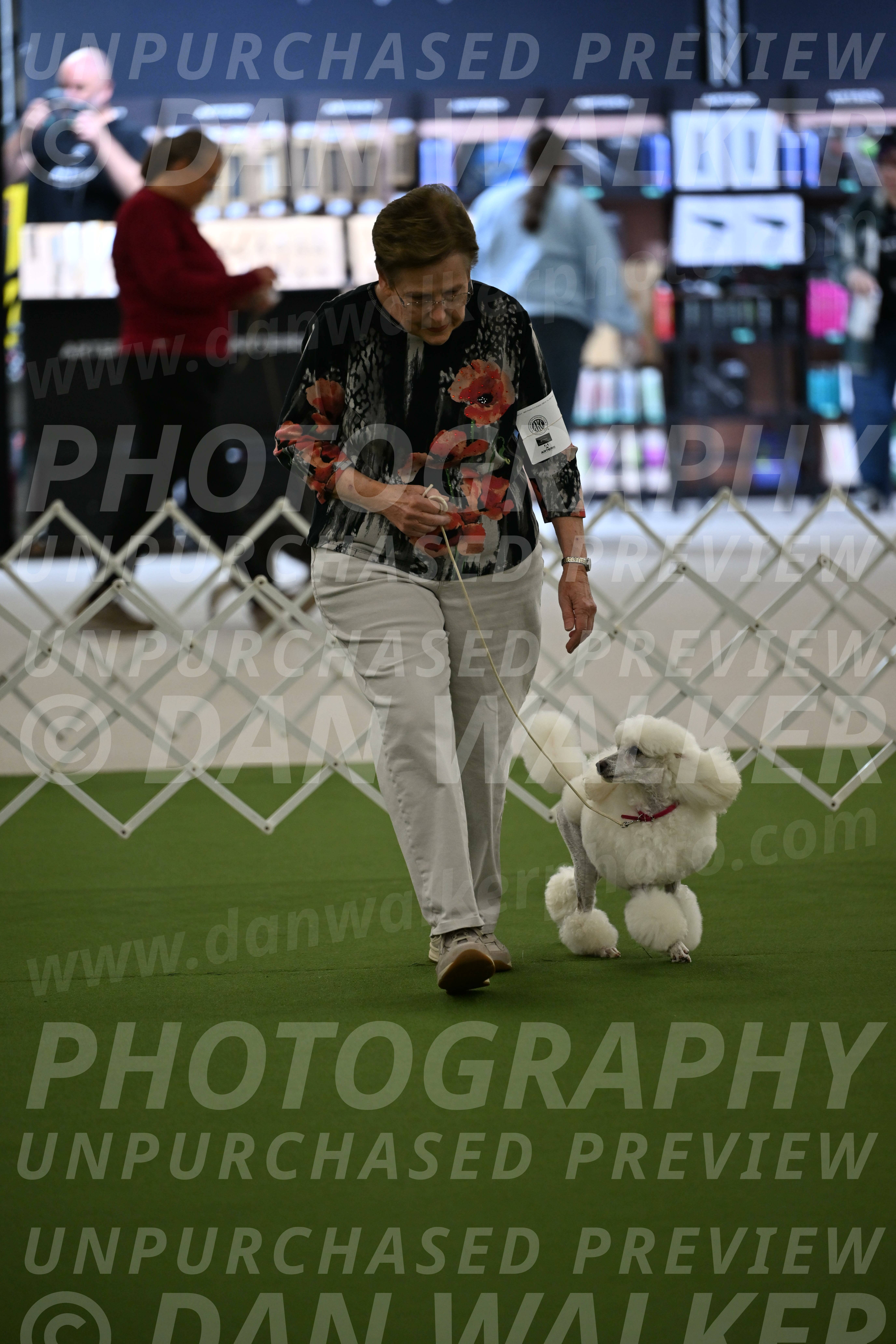 Ring-3-Morning-Obedience_0086