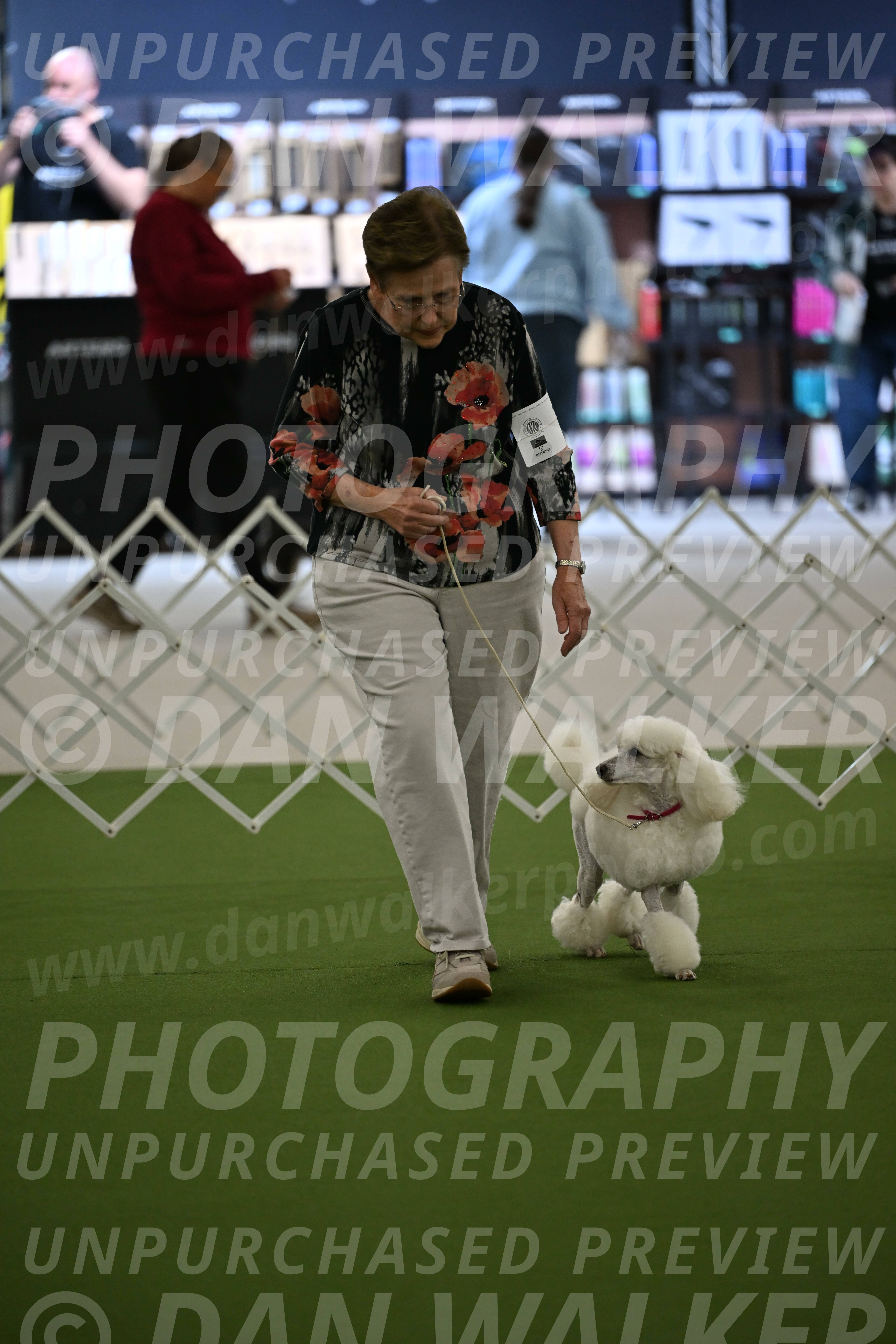 Ring-3-Morning-Obedience_0087