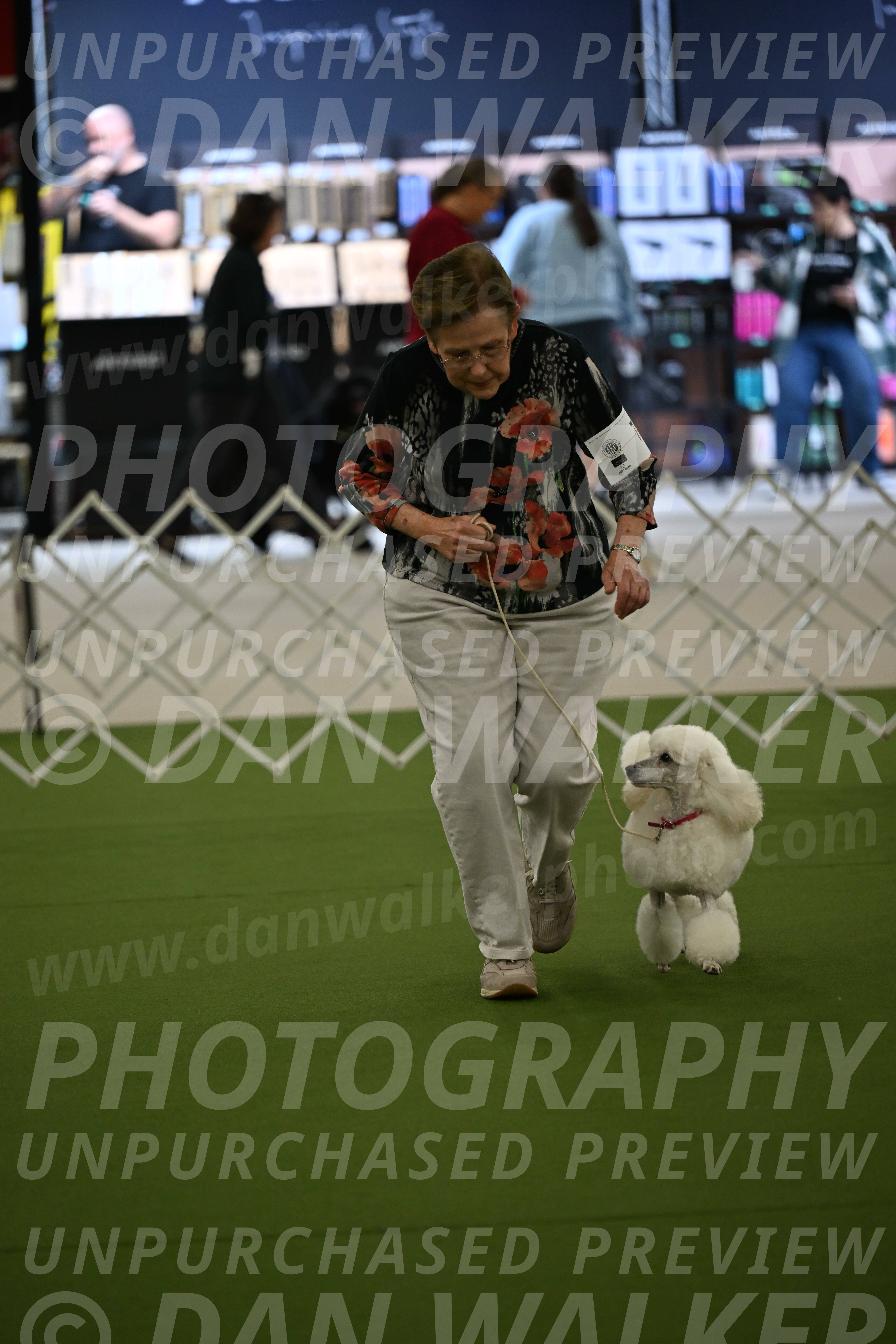 Ring-3-Morning-Obedience_0089