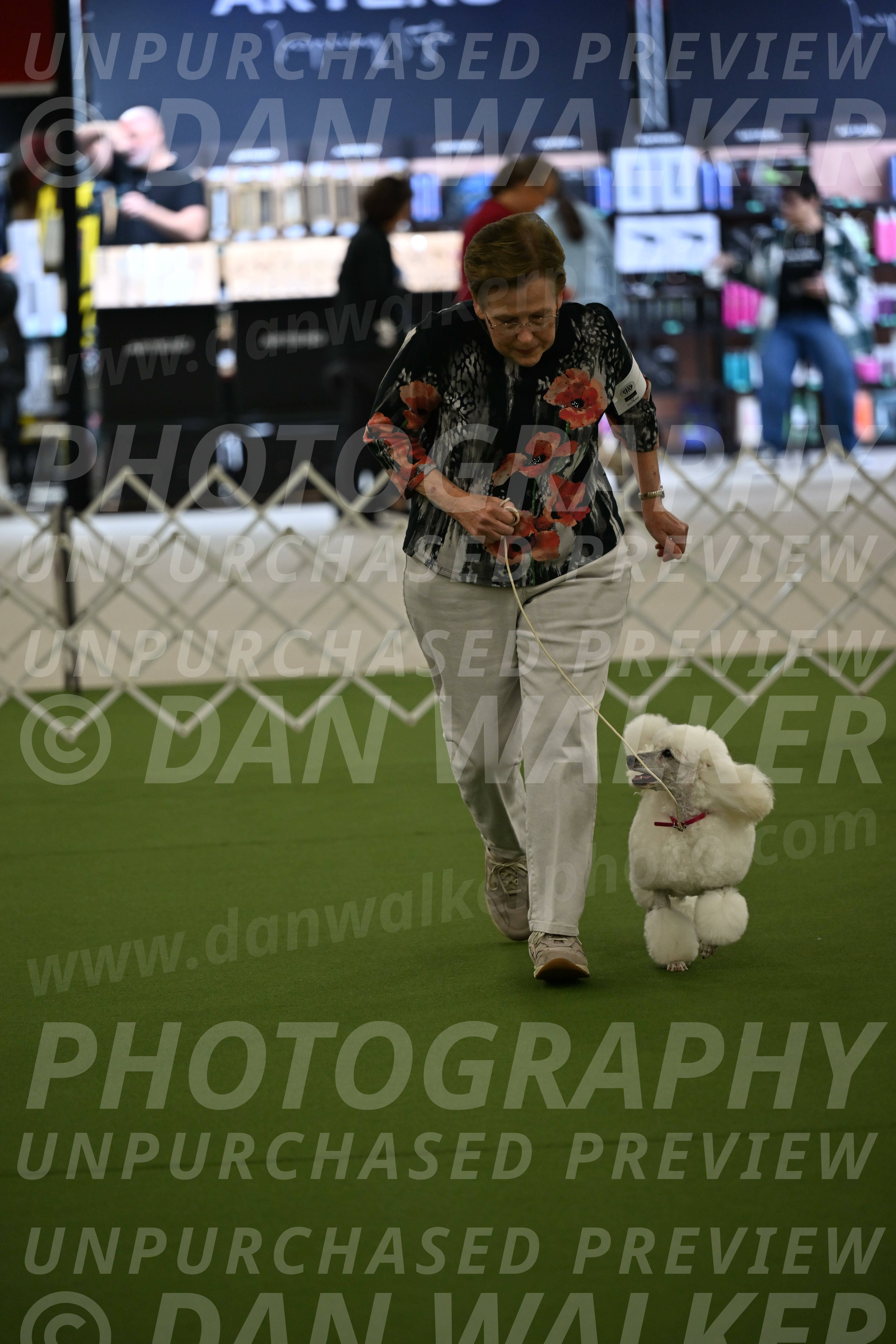 Ring-3-Morning-Obedience_0091