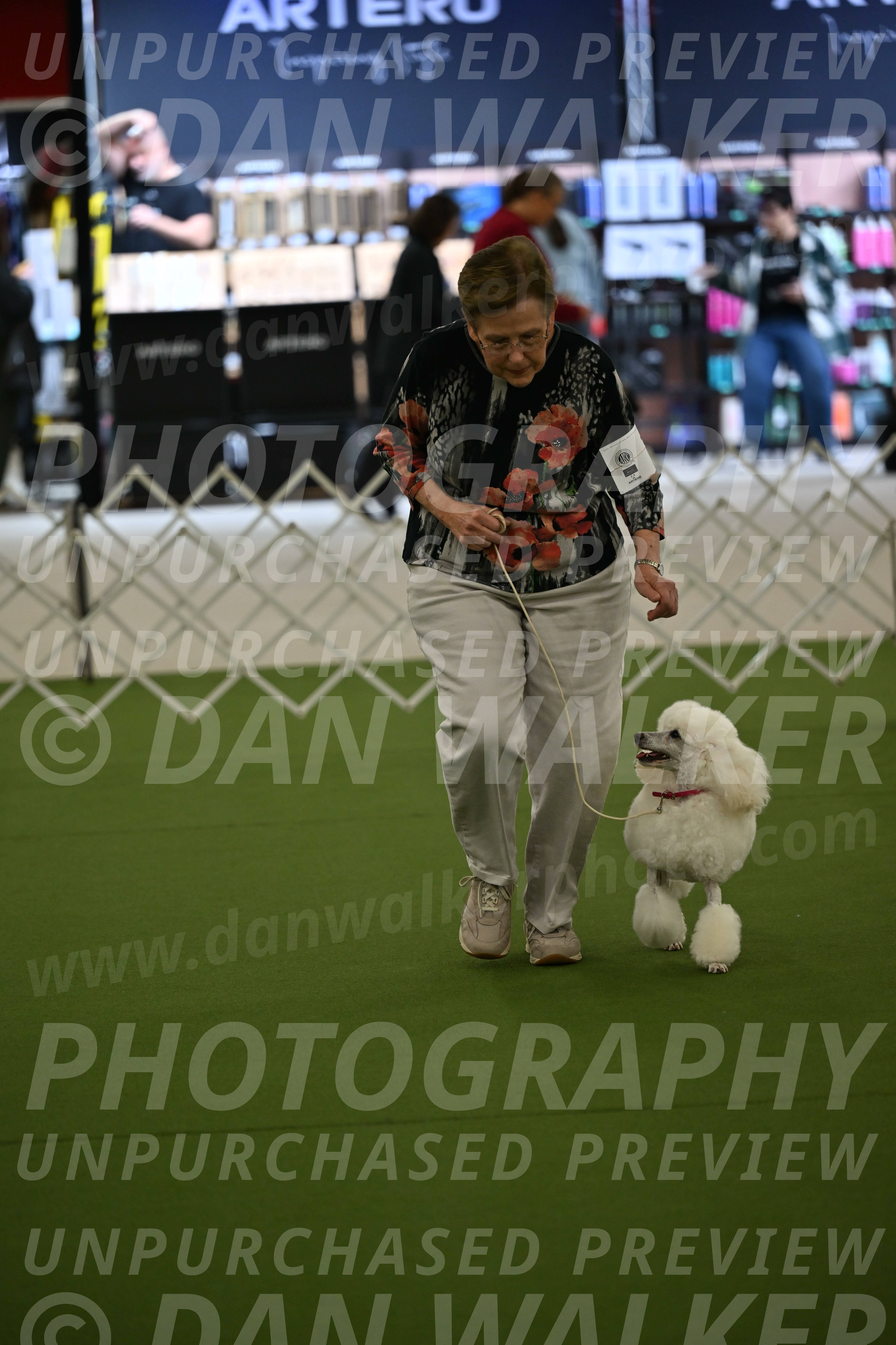 Ring-3-Morning-Obedience_0092