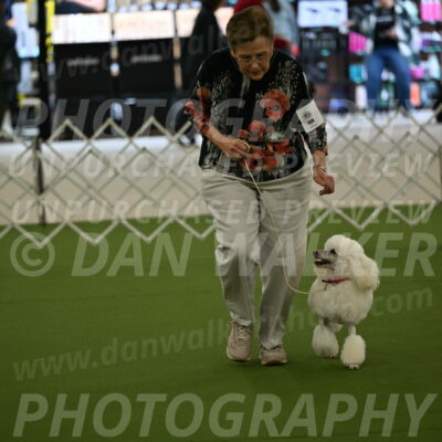 Ring-3-Morning-Obedience_0092