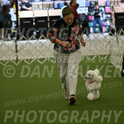 Ring-3-Morning-Obedience_0096