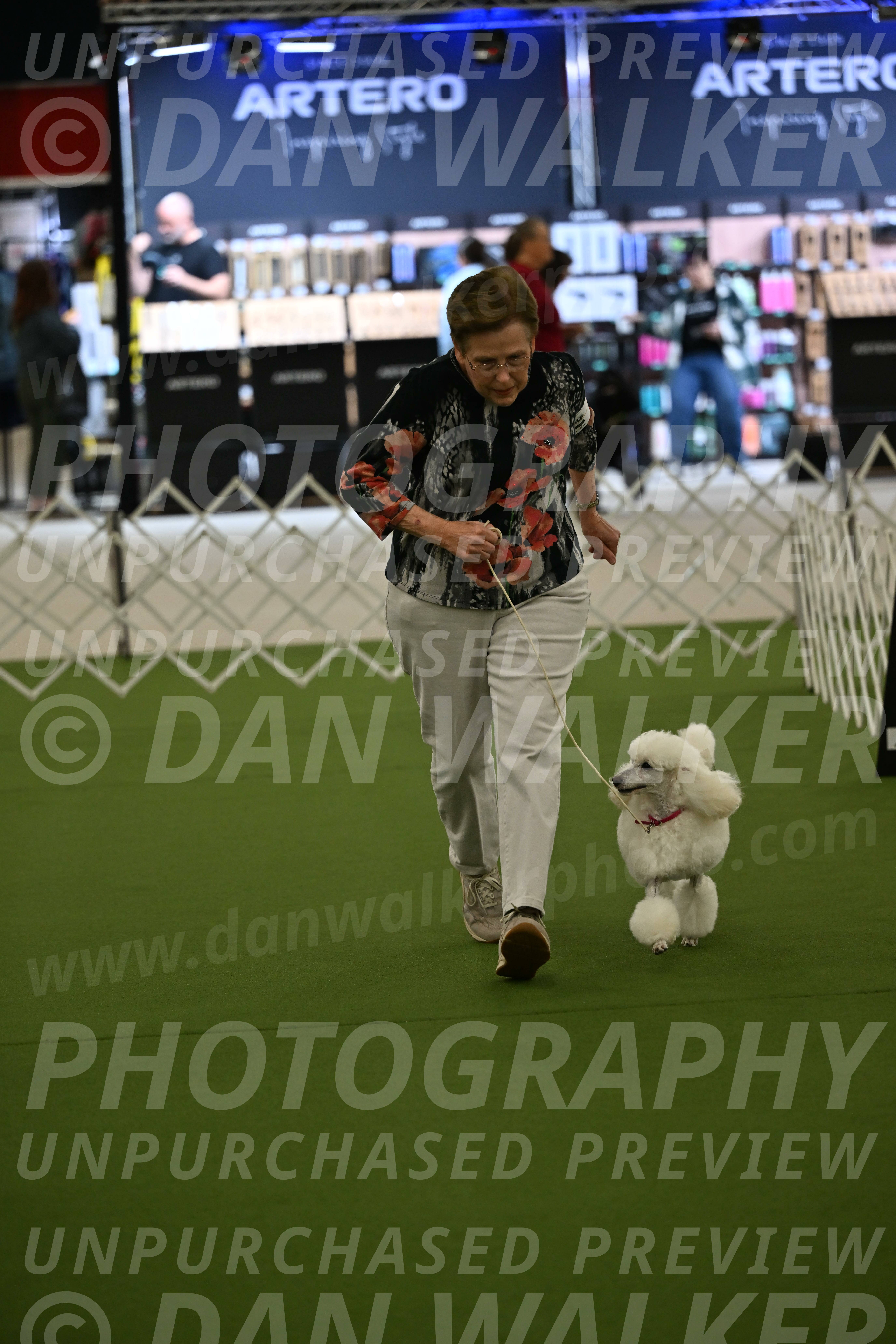 Ring-3-Morning-Obedience_0096