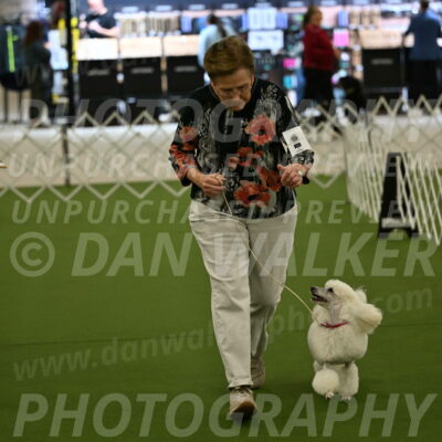 Ring-3-Morning-Obedience_0102