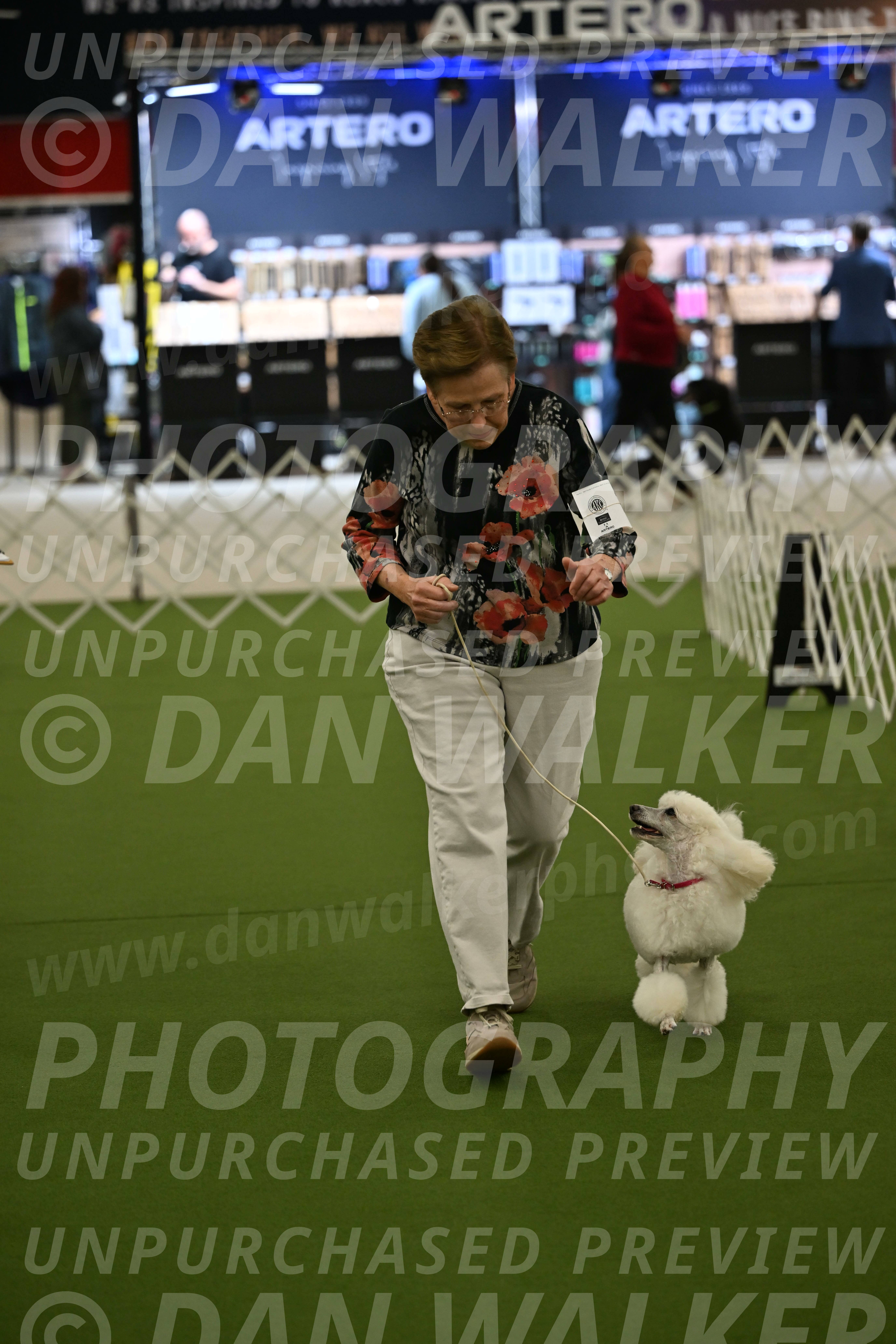 Ring-3-Morning-Obedience_0102