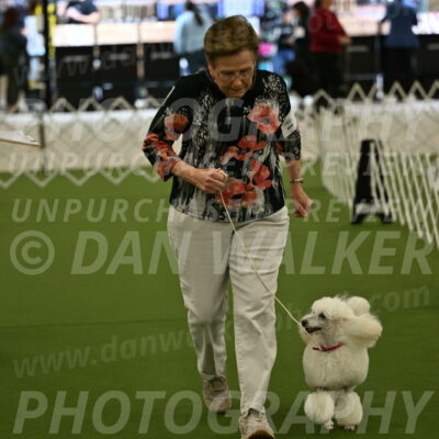 Ring-3-Morning-Obedience_0105