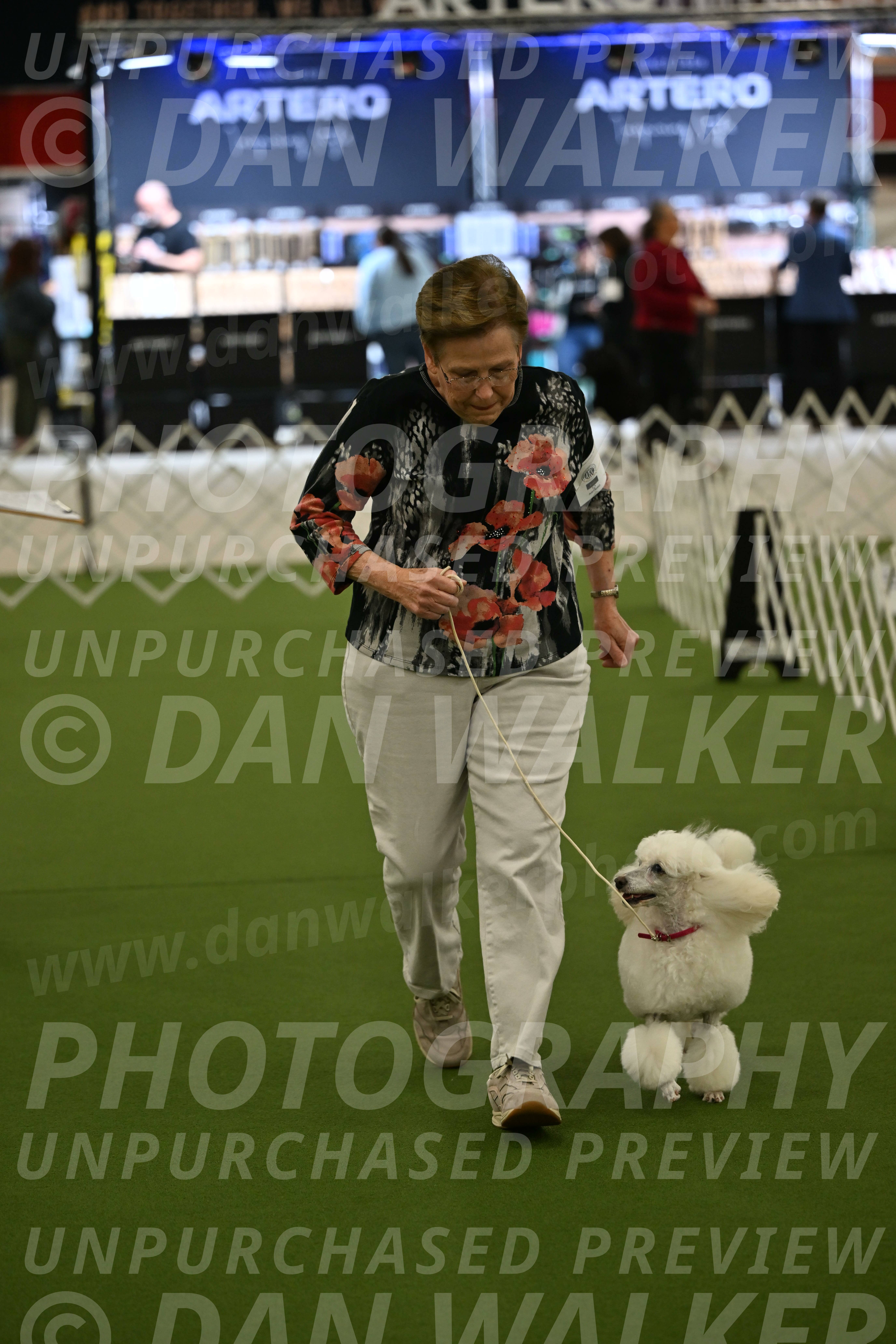 Ring-3-Morning-Obedience_0105