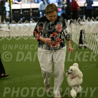 Ring-3-Morning-Obedience_0106