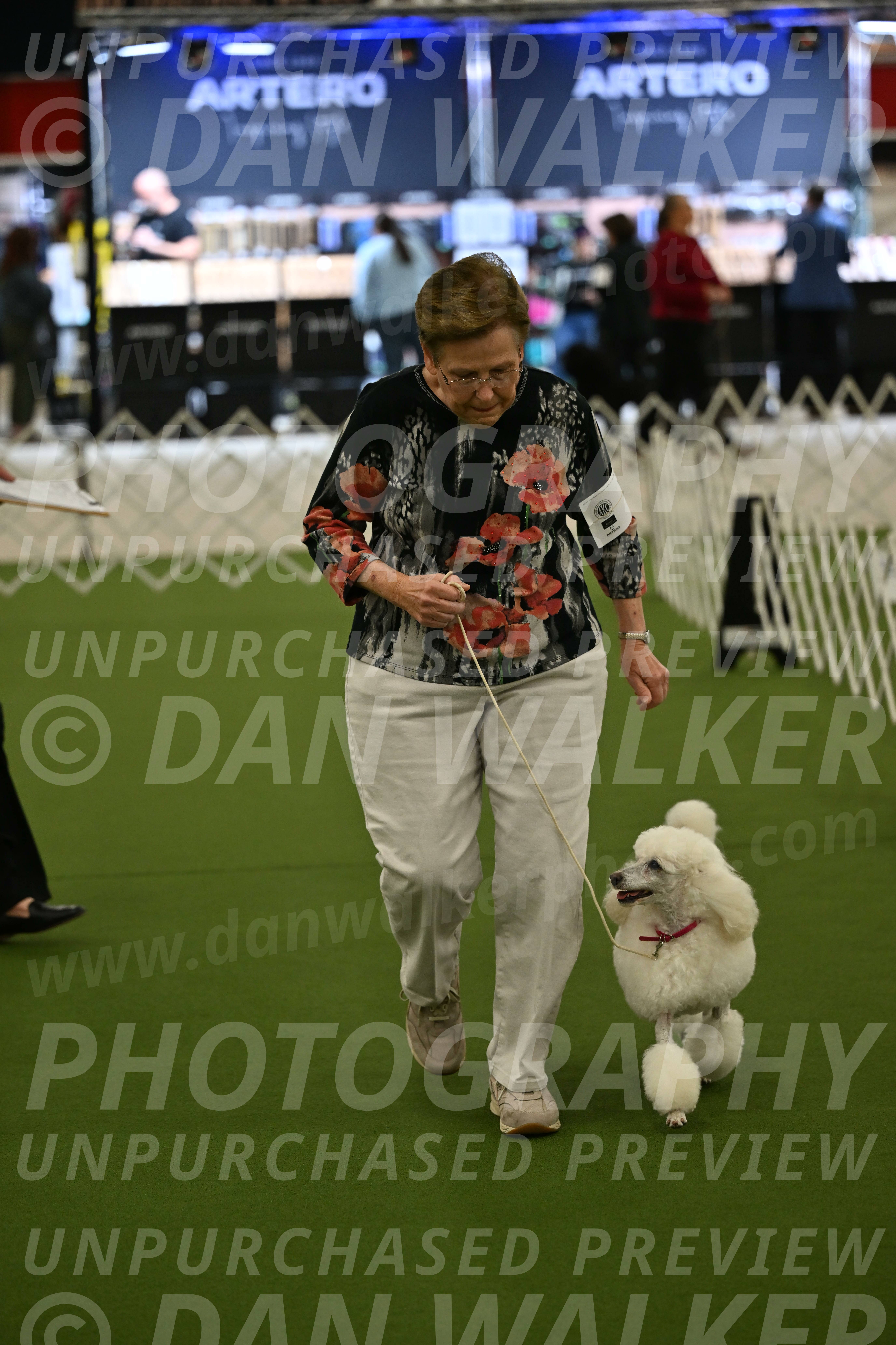 Ring-3-Morning-Obedience_0106