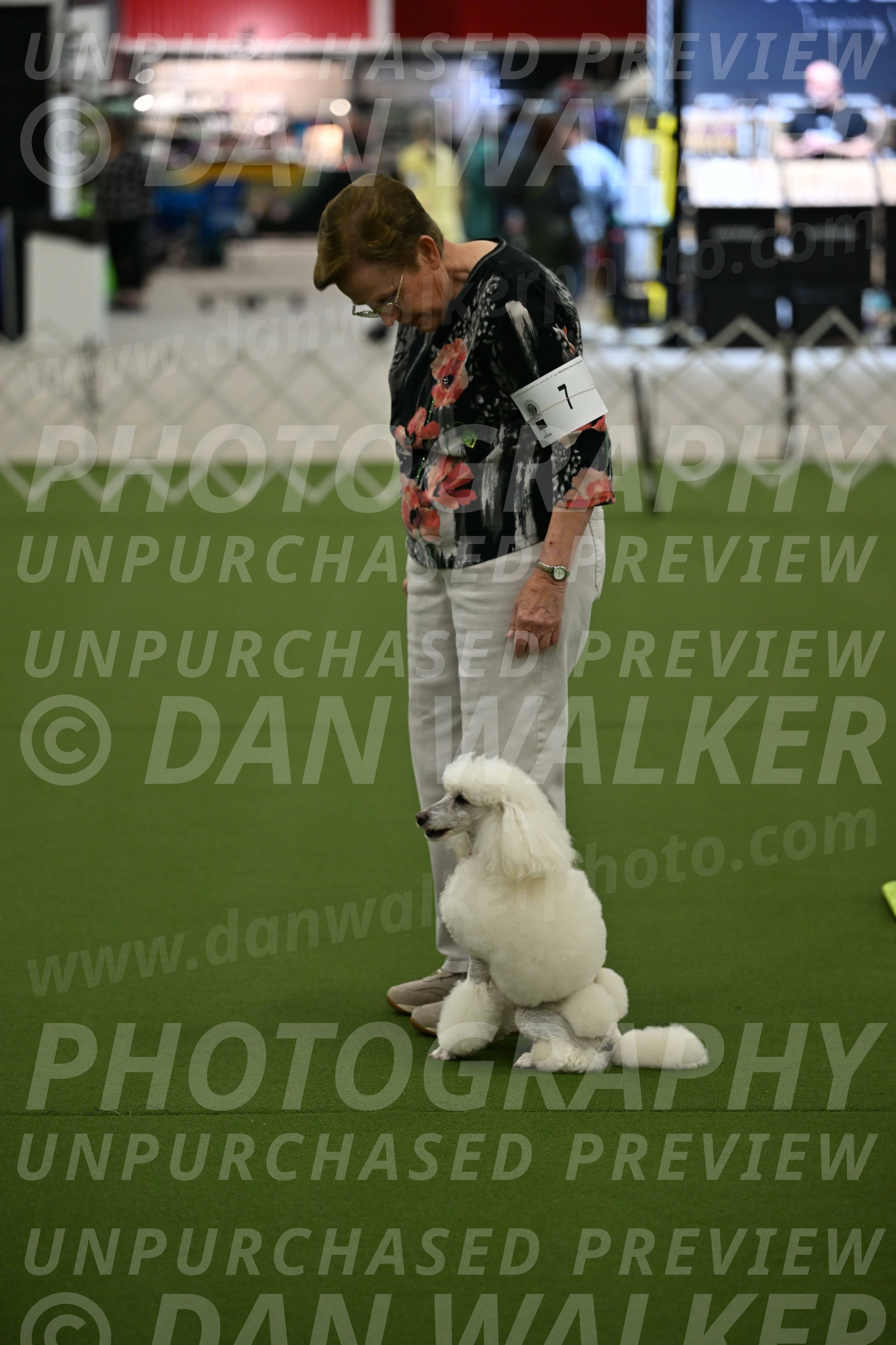 Ring-3-Morning-Obedience_0131