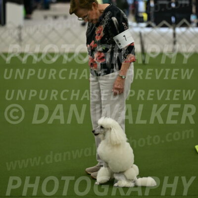 Ring-3-Morning-Obedience_0131