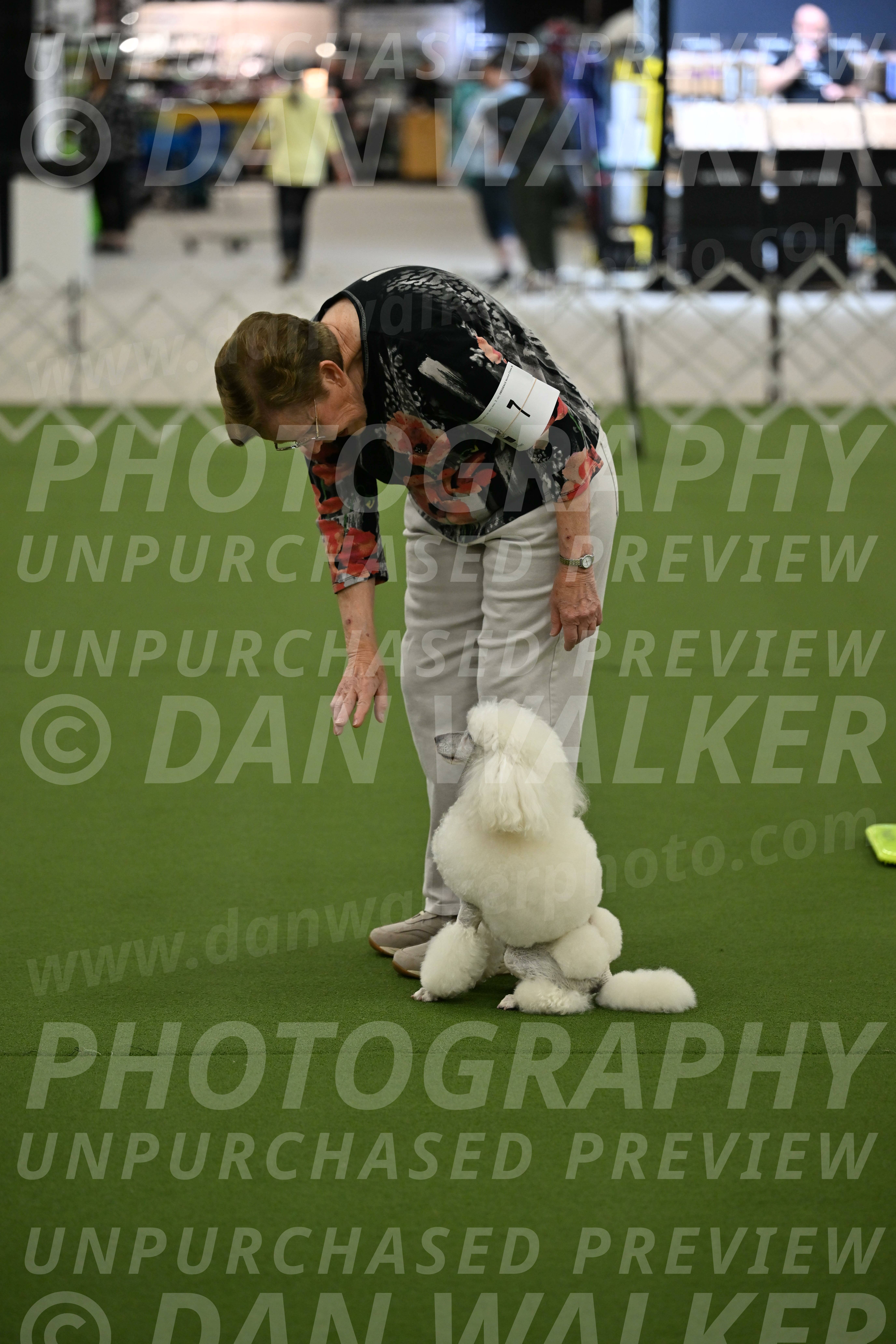 Ring-3-Morning-Obedience_0132