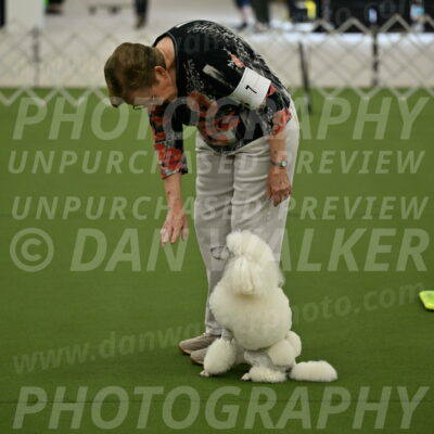 Ring-3-Morning-Obedience_0132