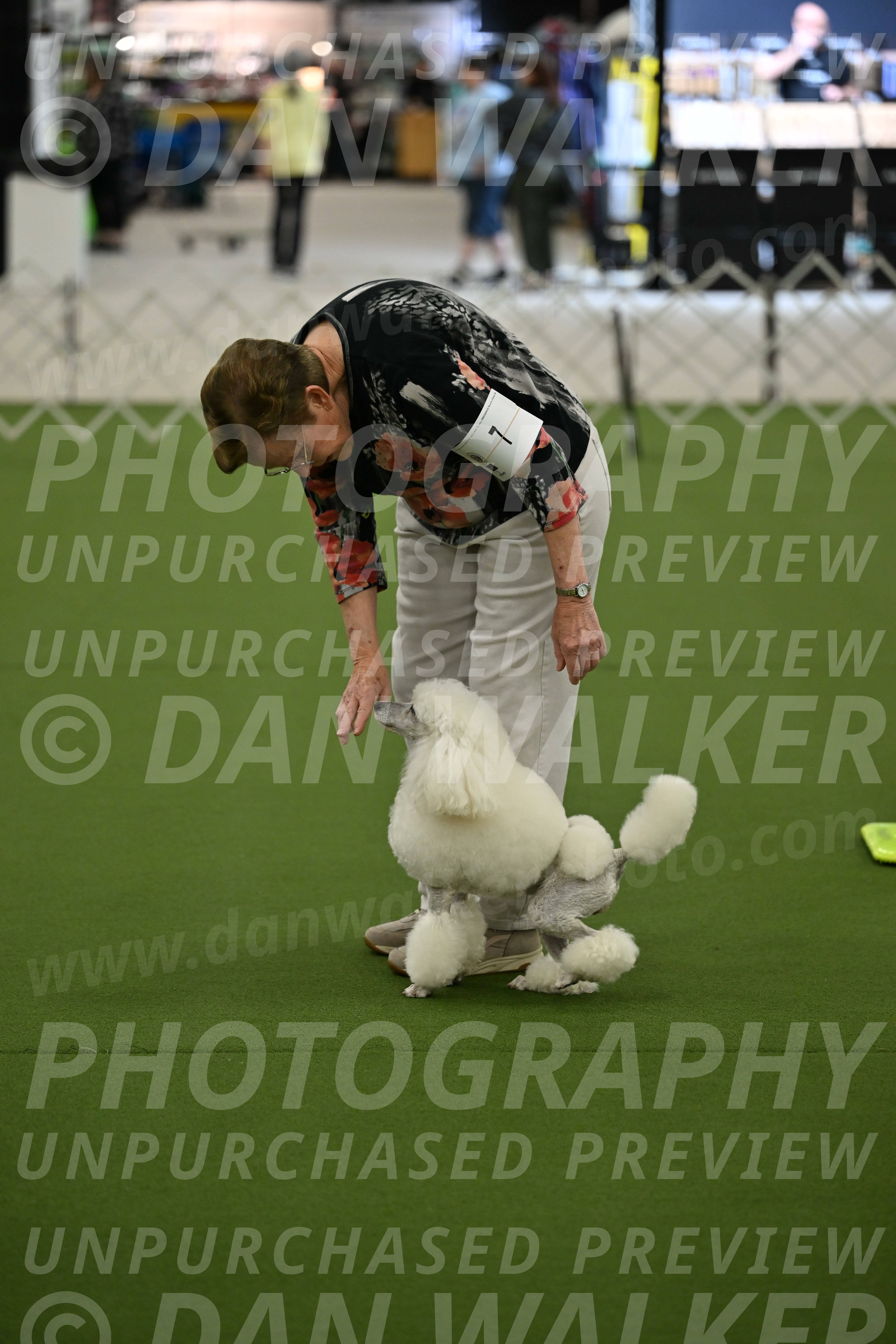 Ring-3-Morning-Obedience_0133