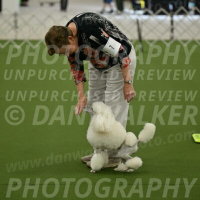 Ring-3-Morning-Obedience_0133