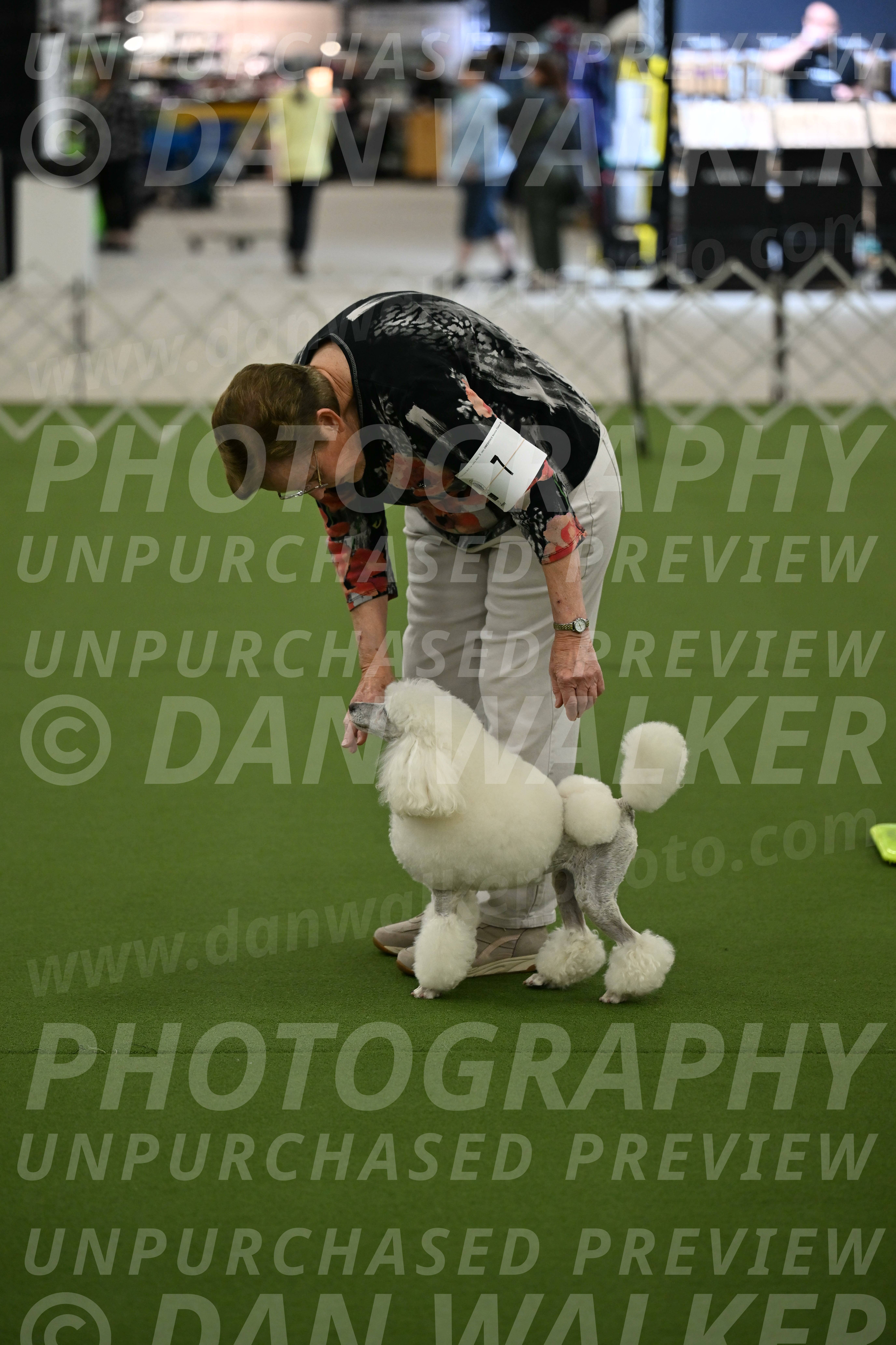 Ring-3-Morning-Obedience_0134