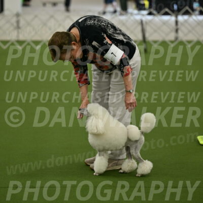 Ring-3-Morning-Obedience_0134