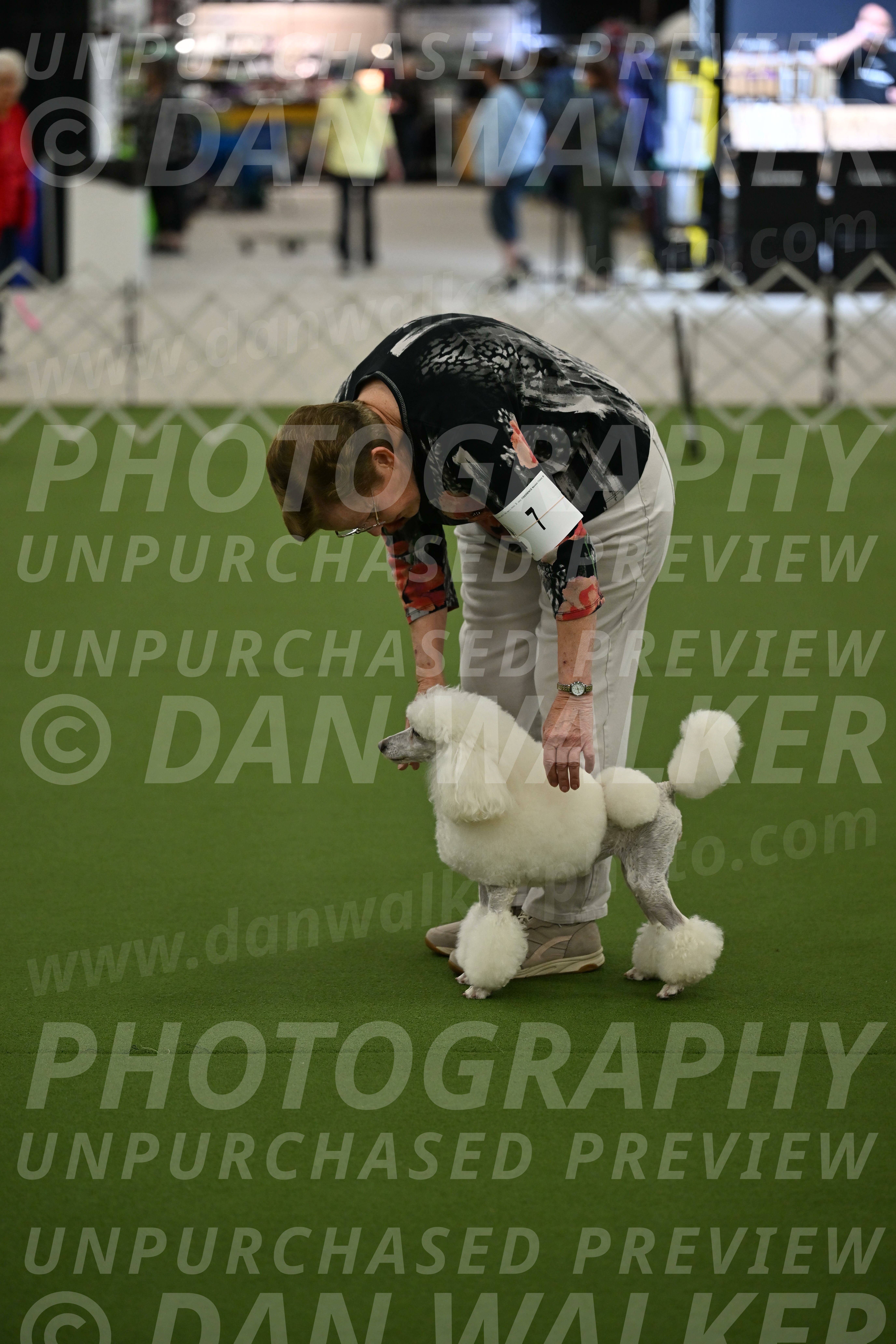 Ring-3-Morning-Obedience_0135