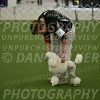 Ring-3-Morning-Obedience_0135