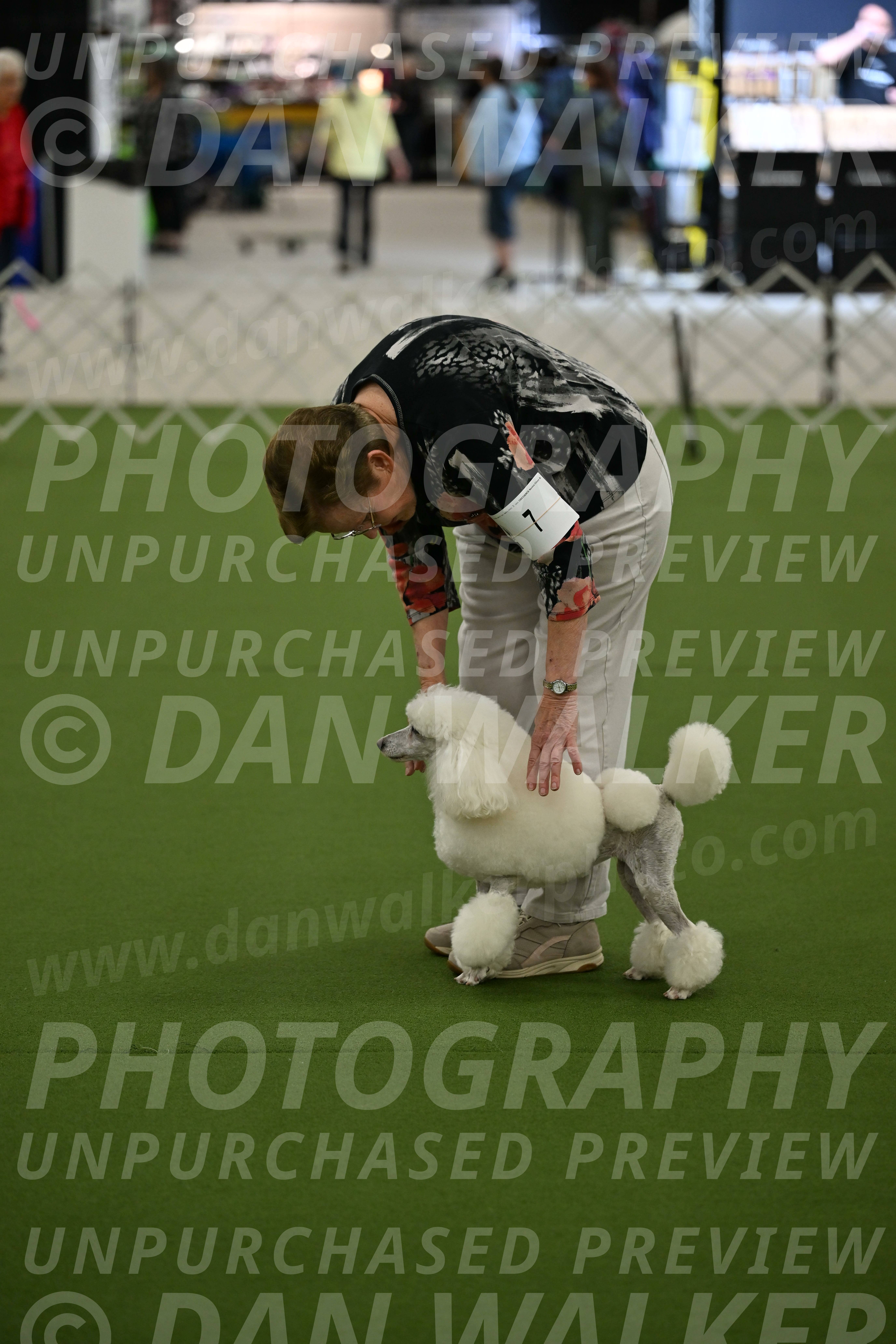 Ring-3-Morning-Obedience_0136