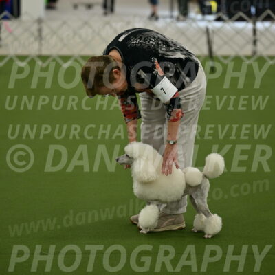 Ring-3-Morning-Obedience_0136