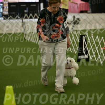 Ring-3-Morning-Obedience_0142