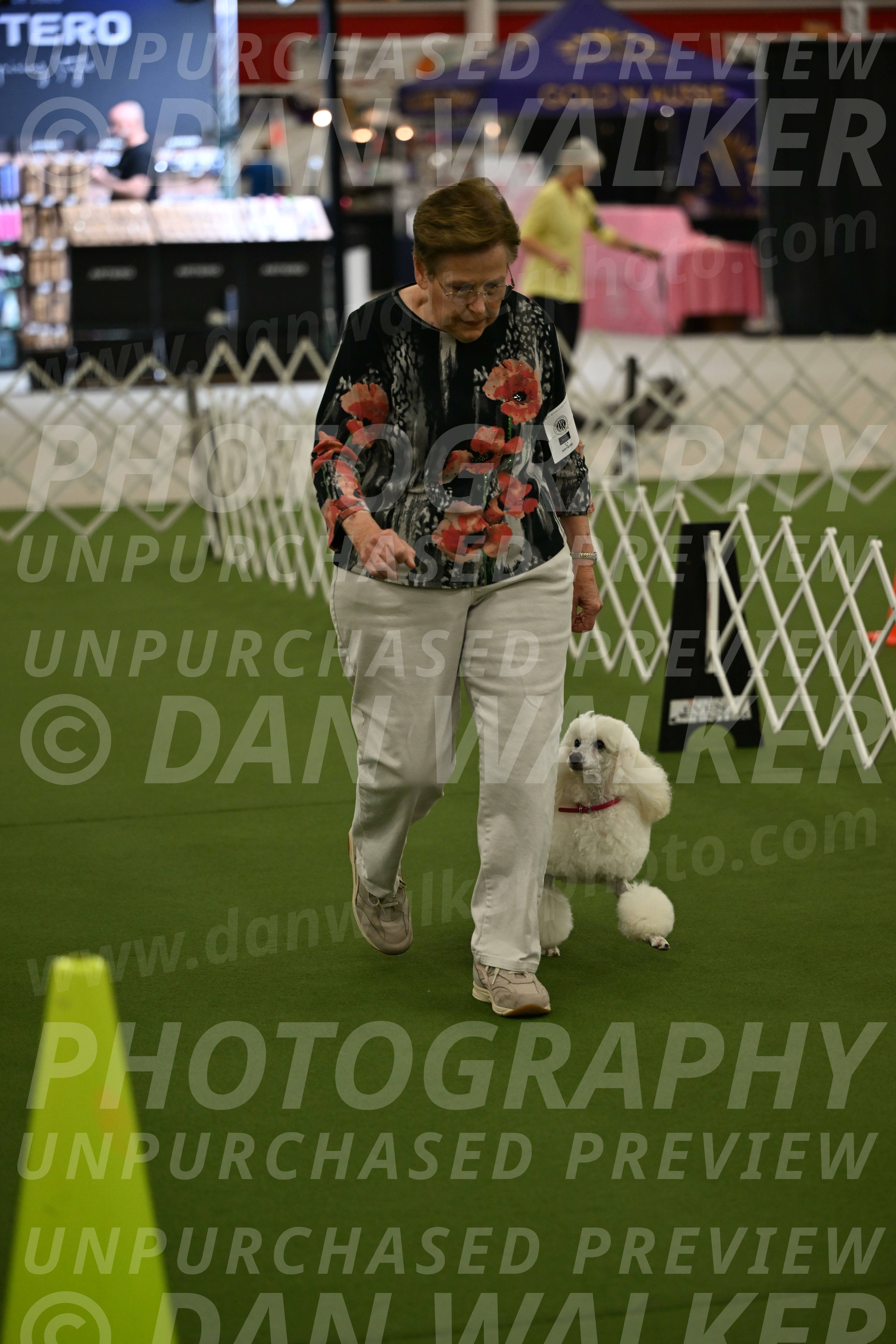 Ring-3-Morning-Obedience_0142