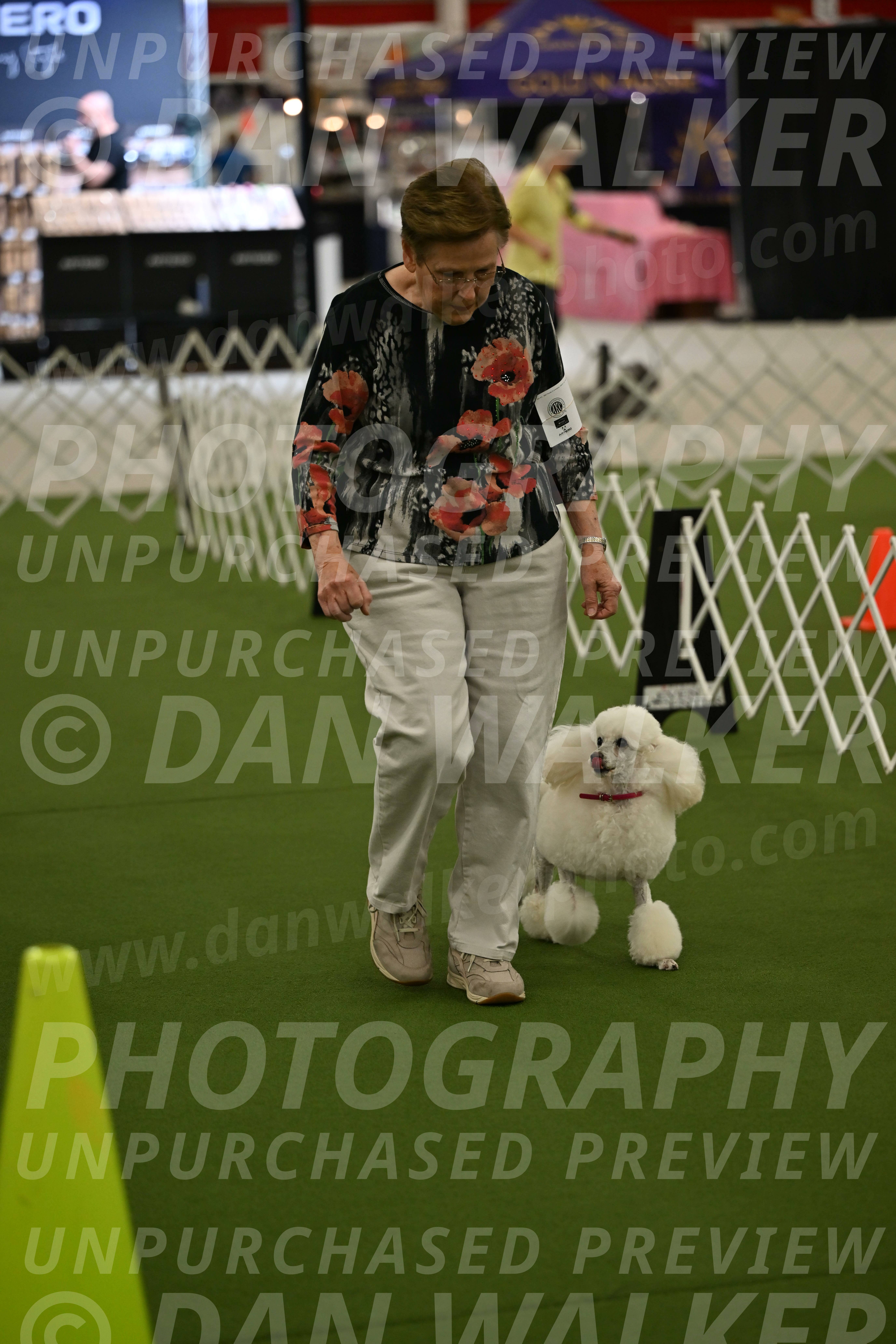 Ring-3-Morning-Obedience_0143