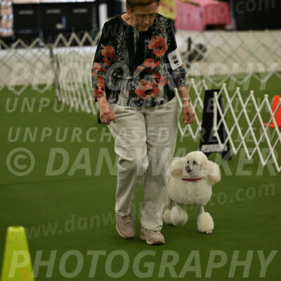 Ring-3-Morning-Obedience_0143