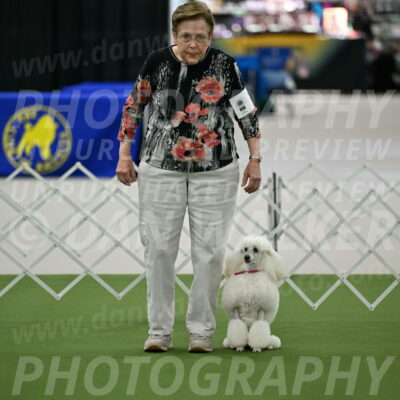 Ring-3-Morning-Obedience_0144