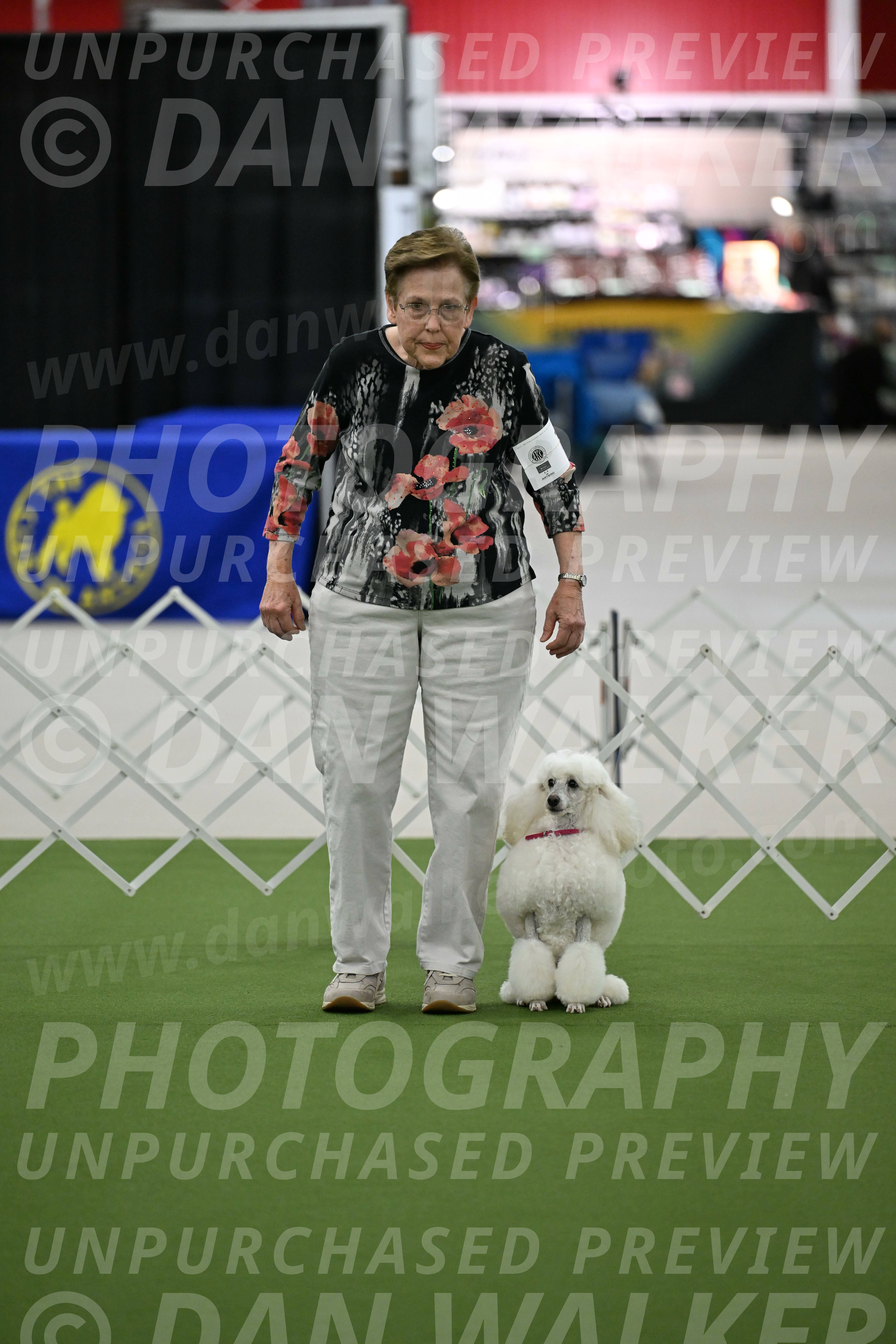 Ring-3-Morning-Obedience_0144