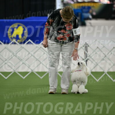 Ring-3-Morning-Obedience_0148