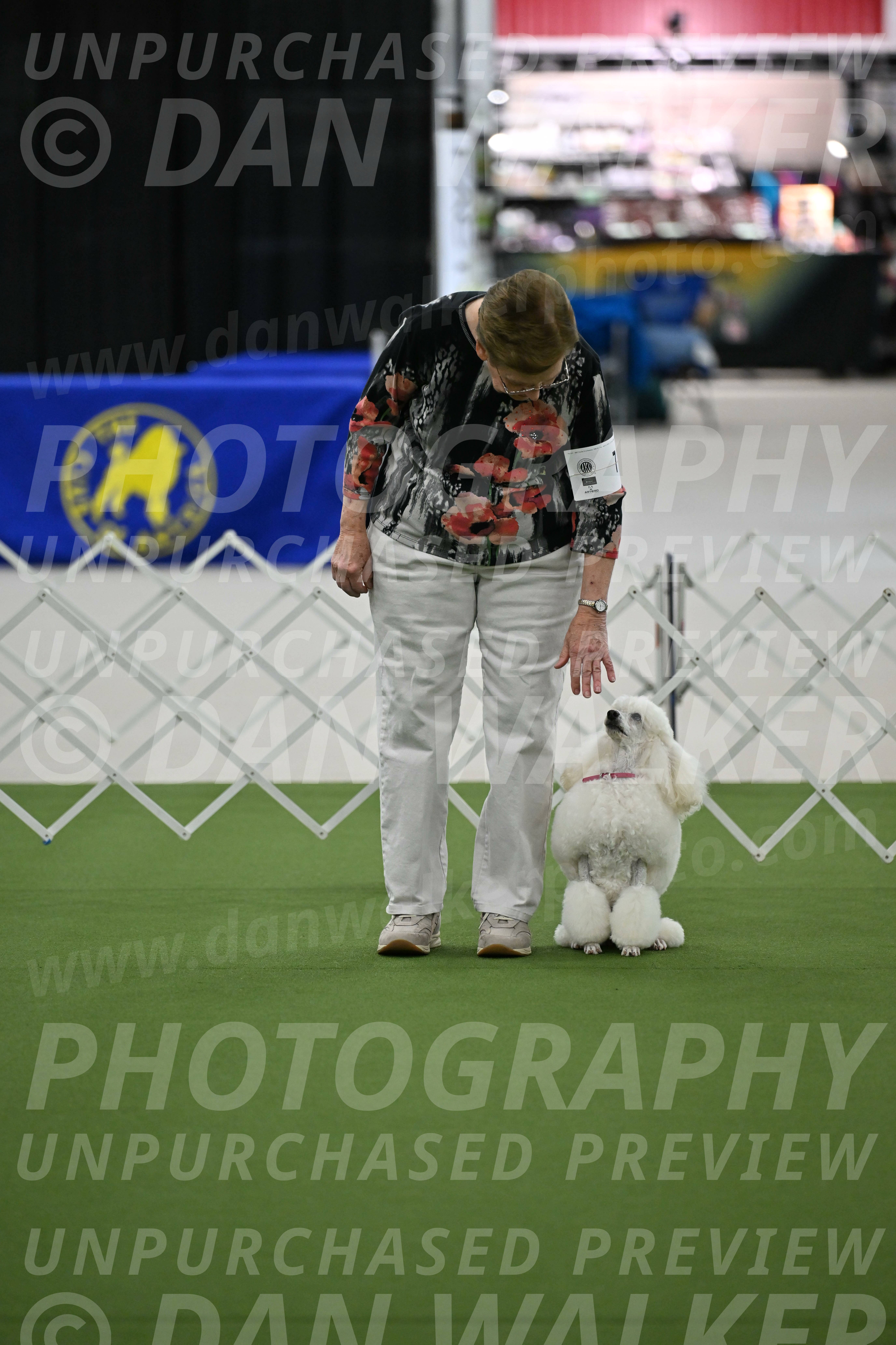 Ring-3-Morning-Obedience_0148