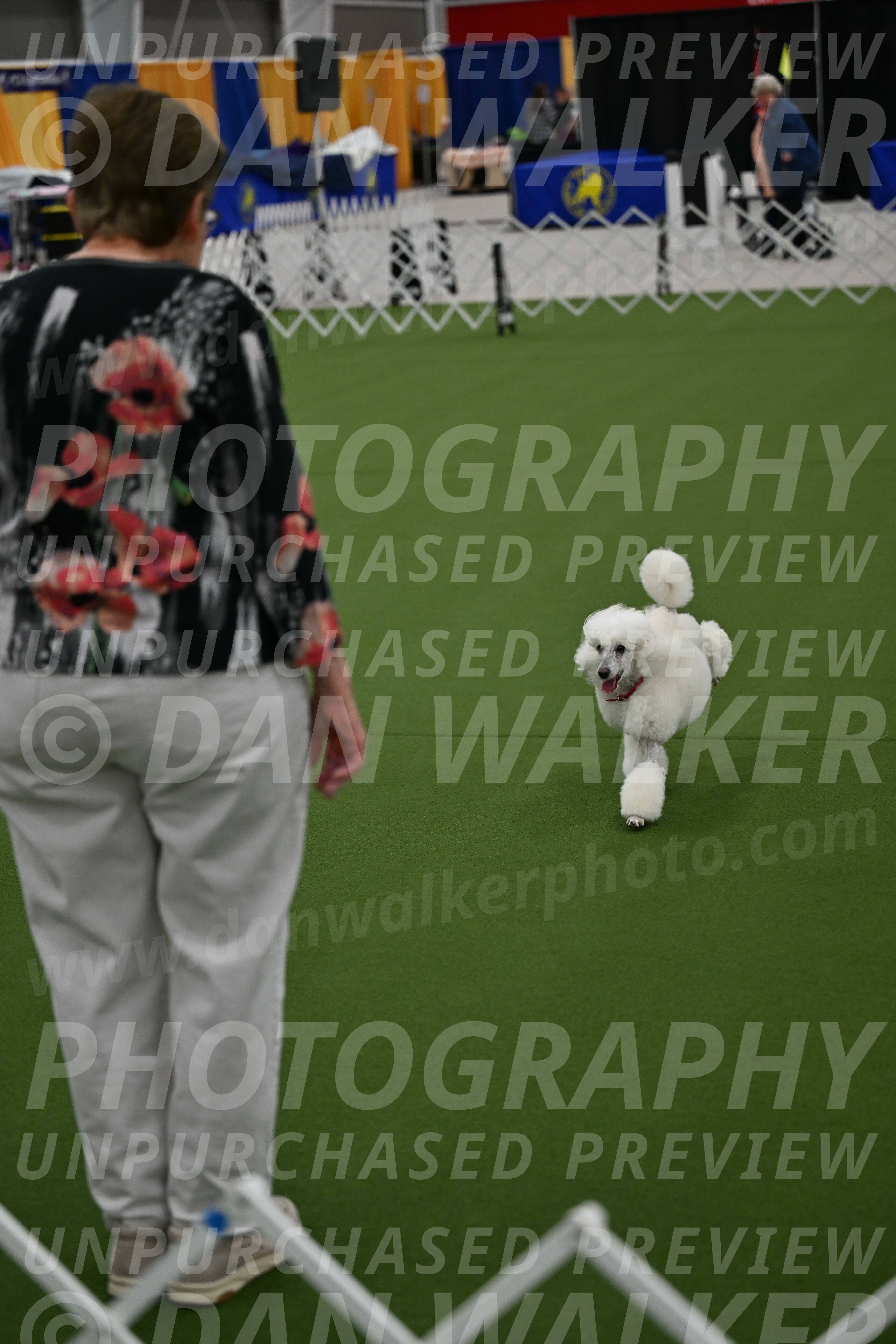 Ring-3-Morning-Obedience_0151