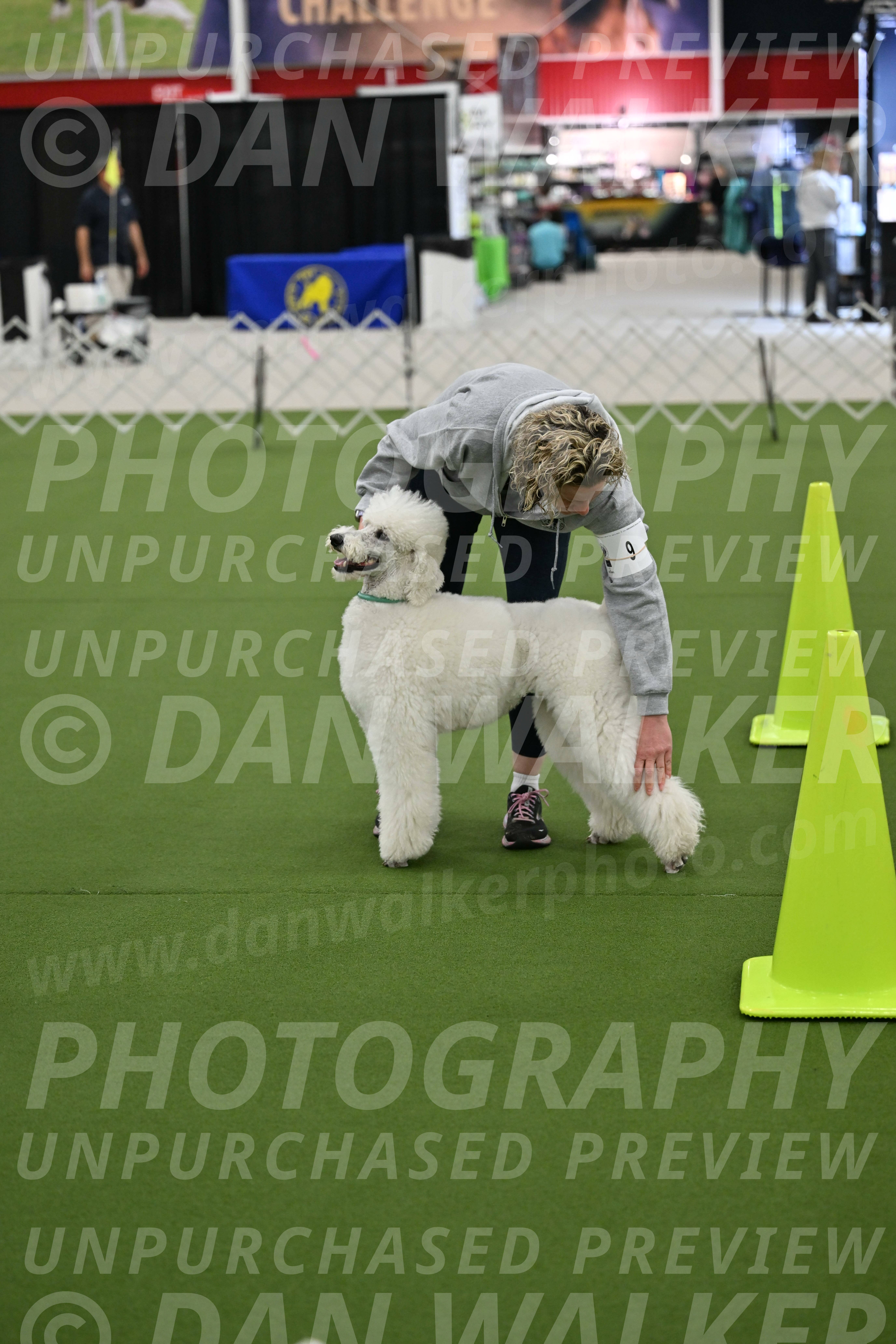 Ring-3-Morning-Obedience_0181