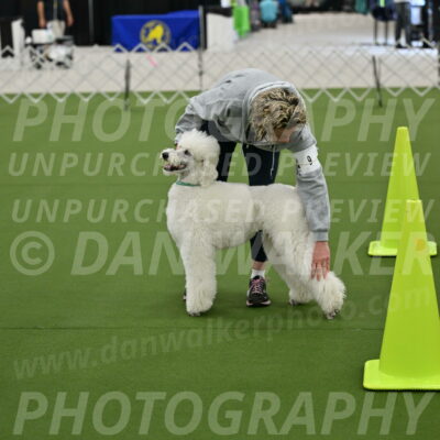 Ring-3-Morning-Obedience_0181