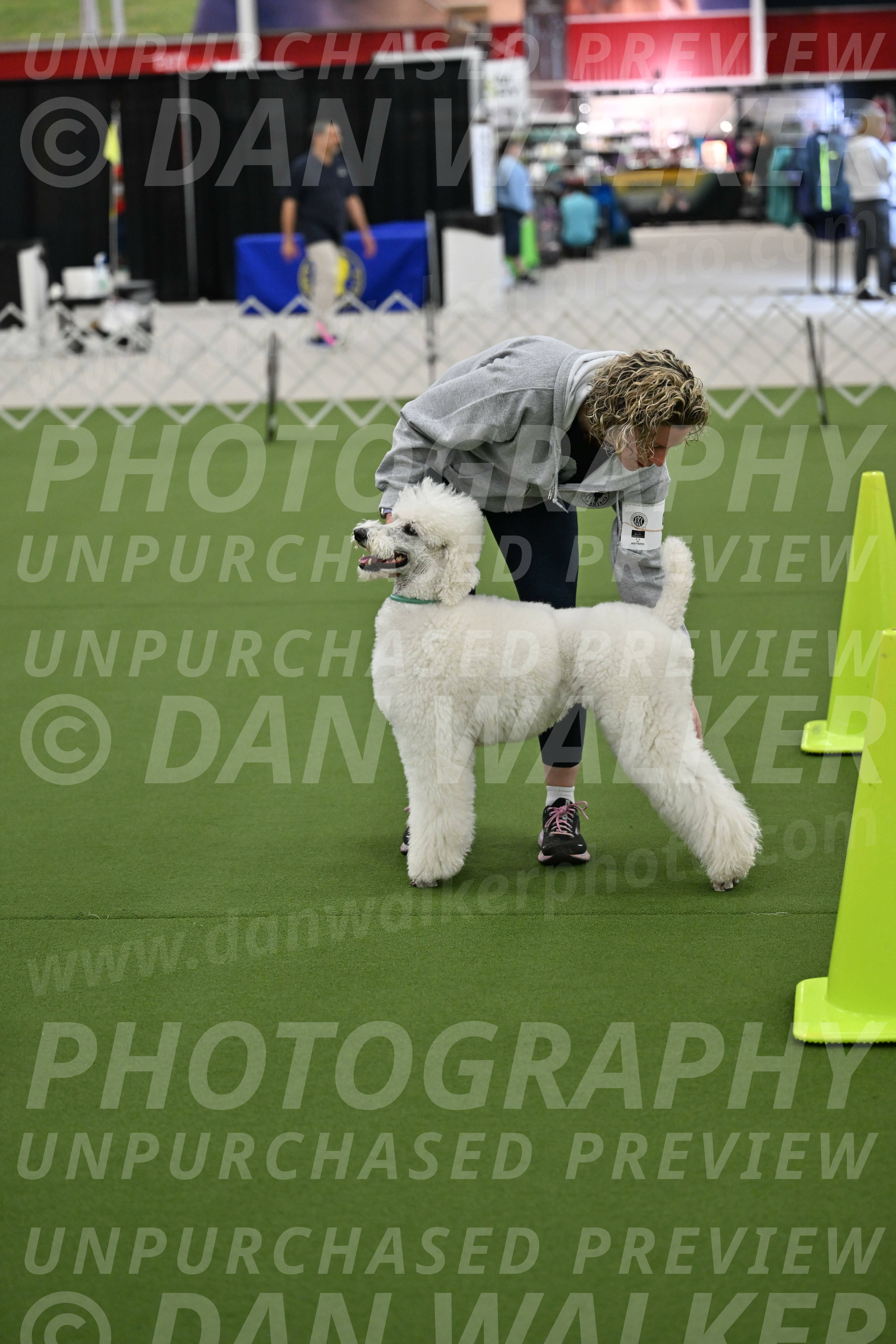 Ring-3-Morning-Obedience_0183