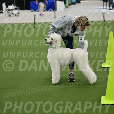 Ring-3-Morning-Obedience_0183