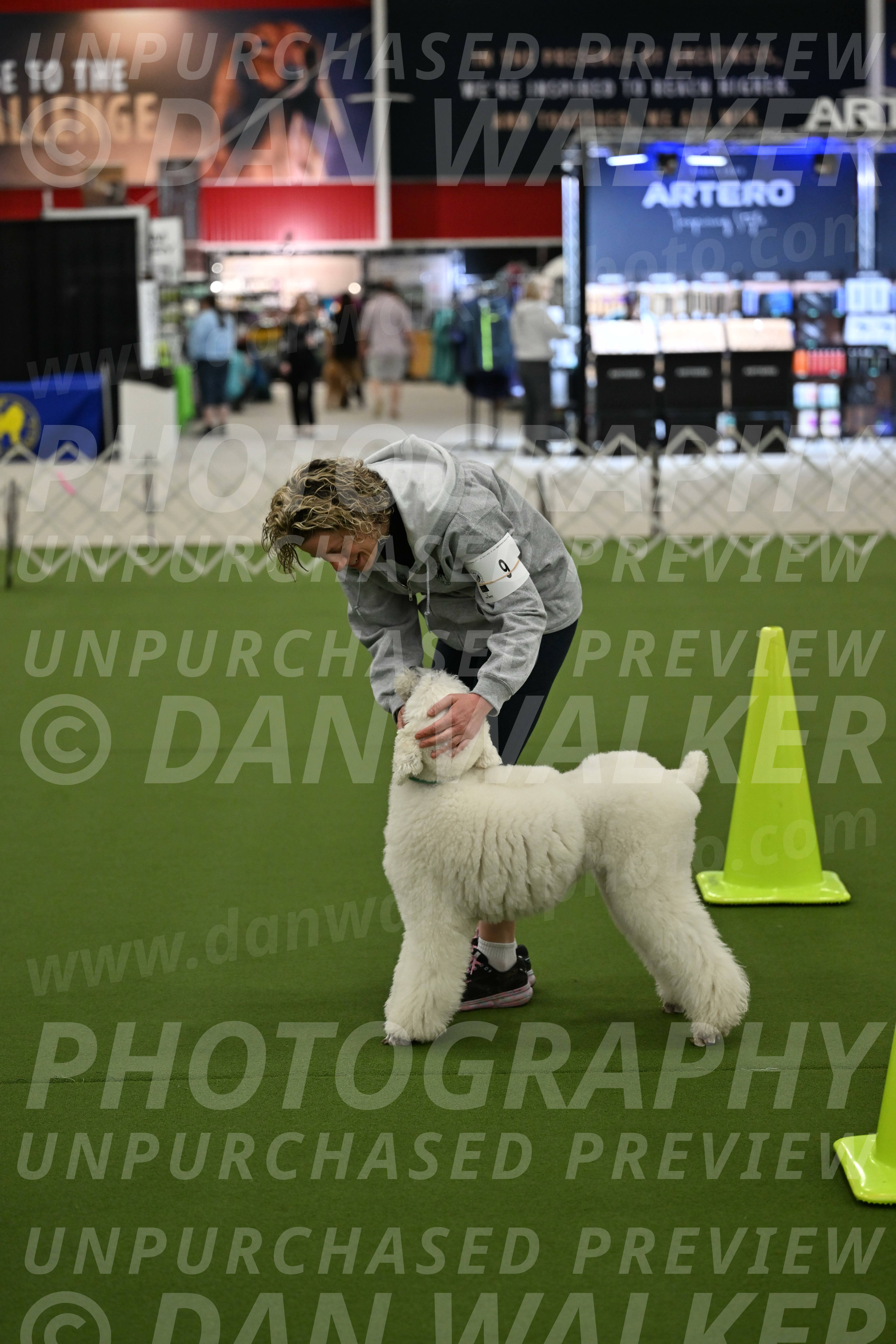 Ring-3-Morning-Obedience_0185