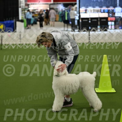 Ring-3-Morning-Obedience_0185