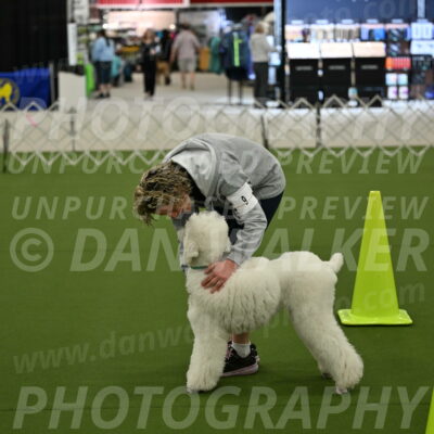 Ring-3-Morning-Obedience_0188