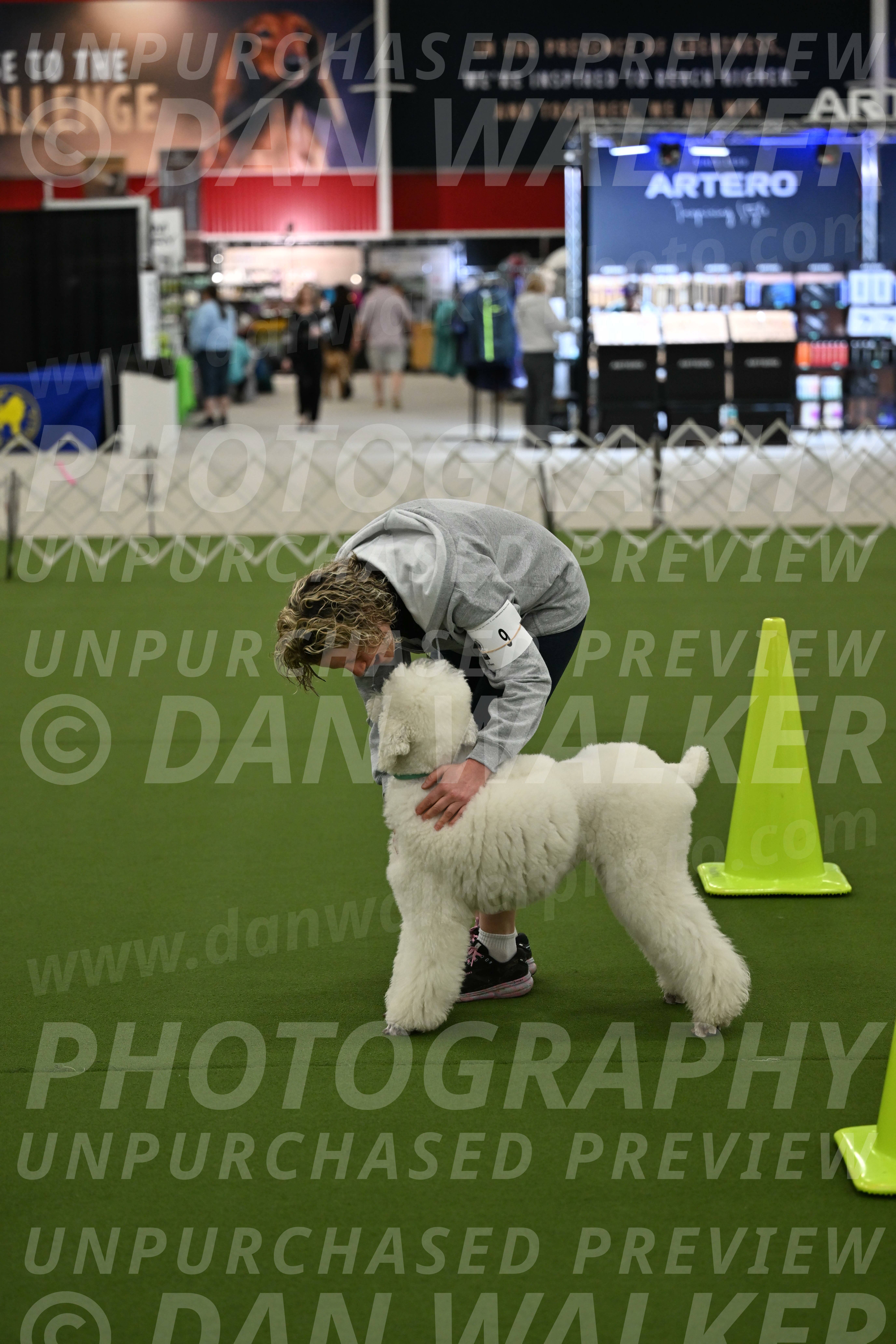 Ring-3-Morning-Obedience_0188