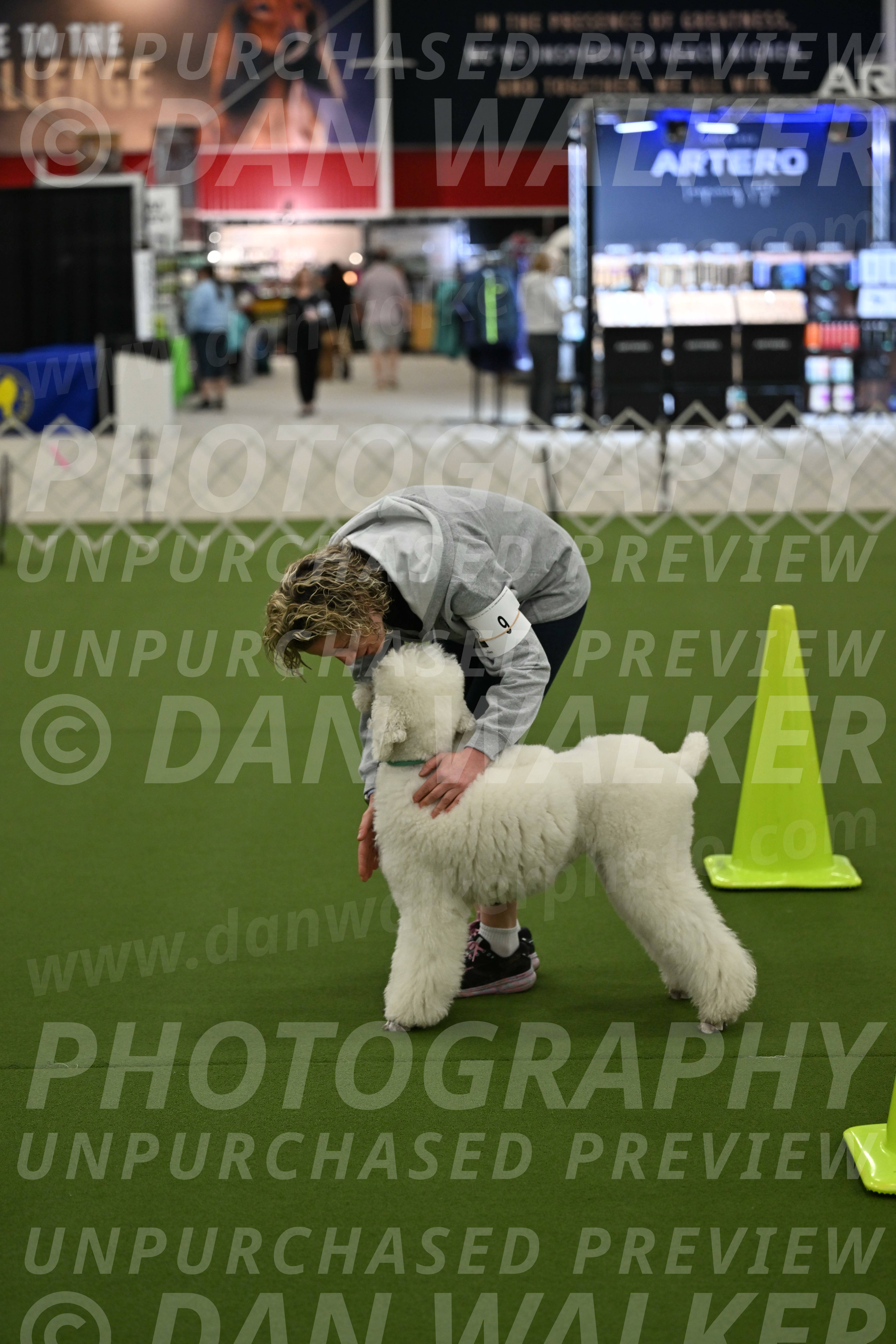 Ring-3-Morning-Obedience_0189