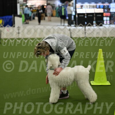 Ring-3-Morning-Obedience_0189