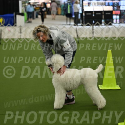 Ring-3-Morning-Obedience_0192