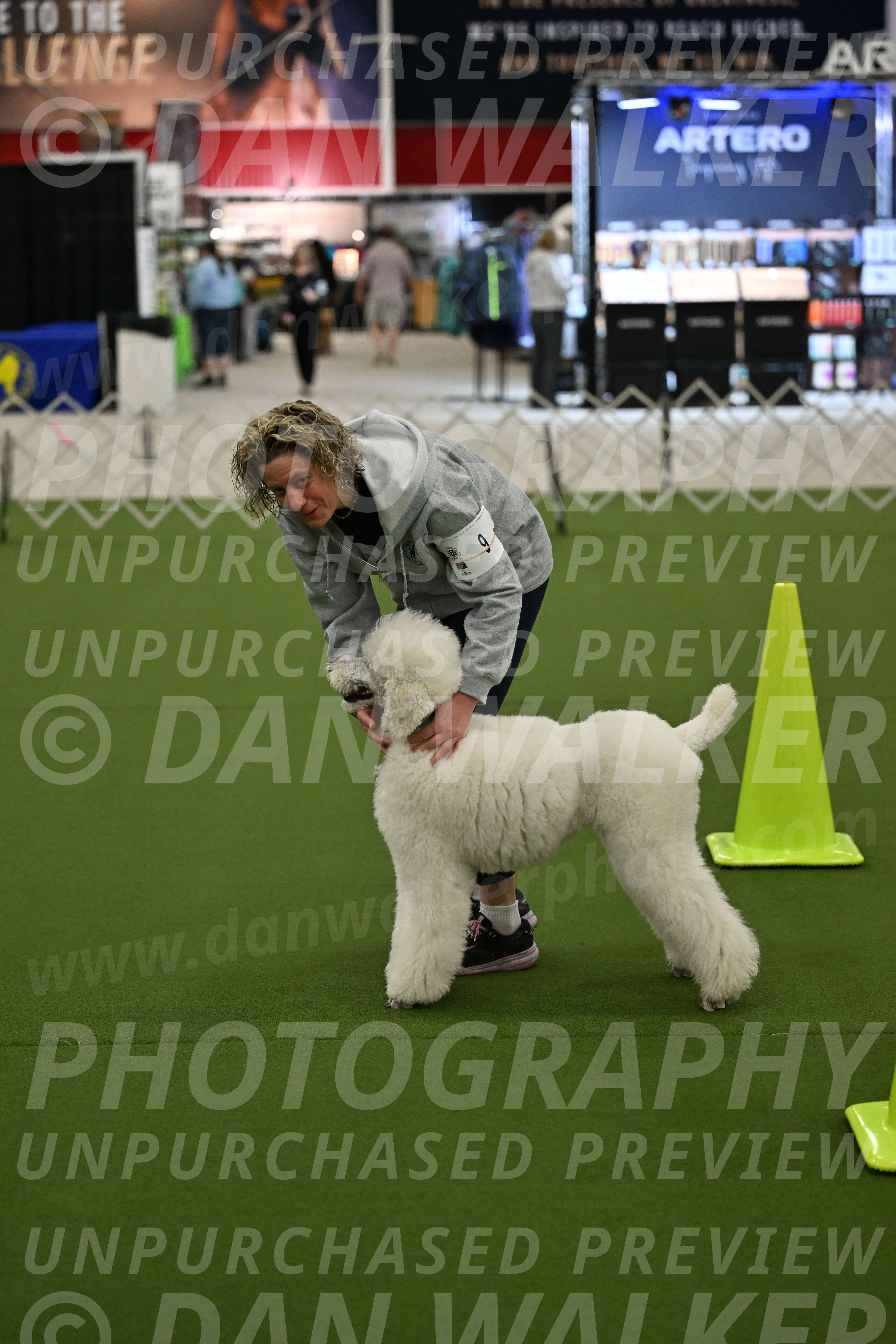 Ring-3-Morning-Obedience_0192