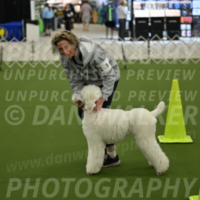 Ring-3-Morning-Obedience_0193