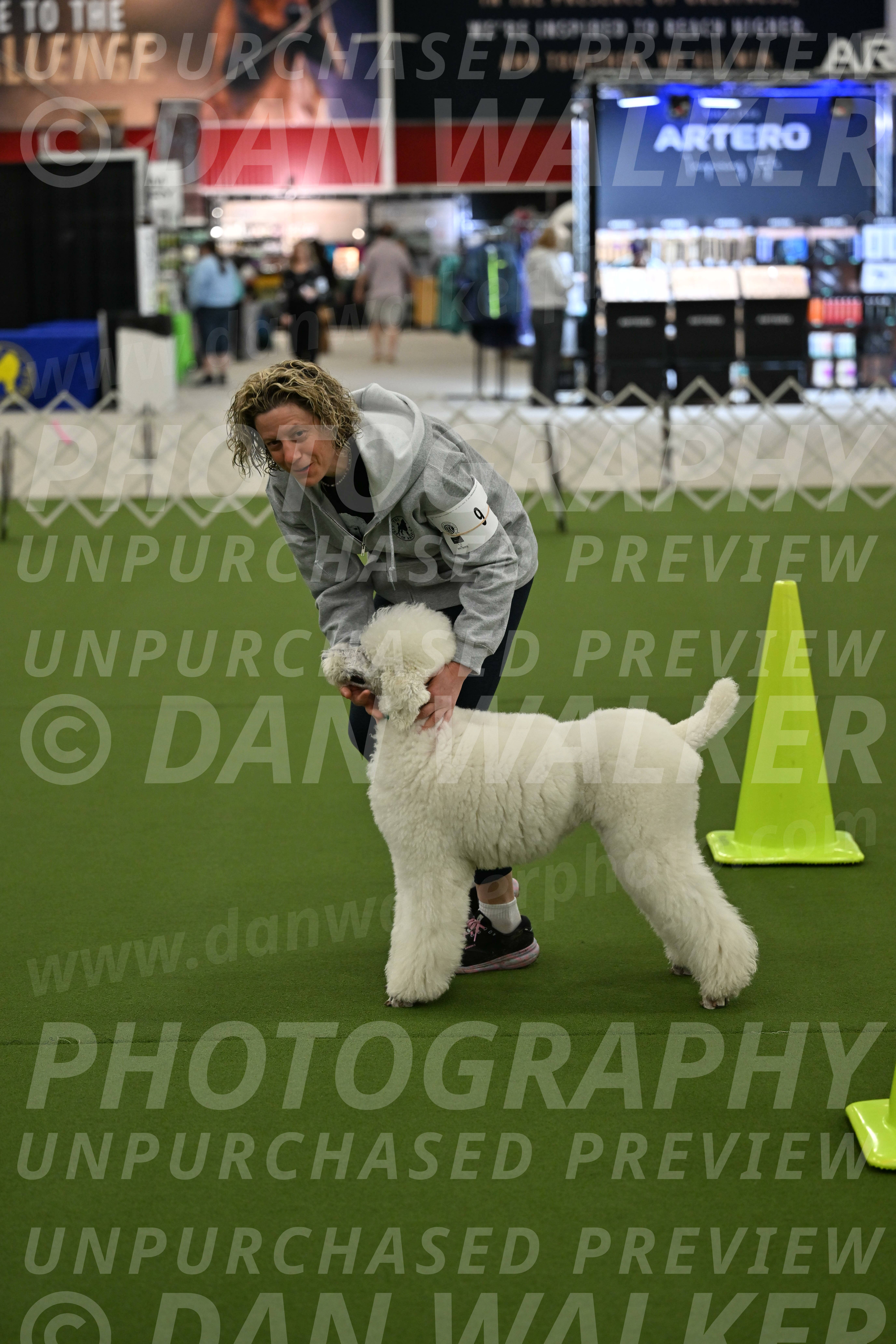 Ring-3-Morning-Obedience_0193